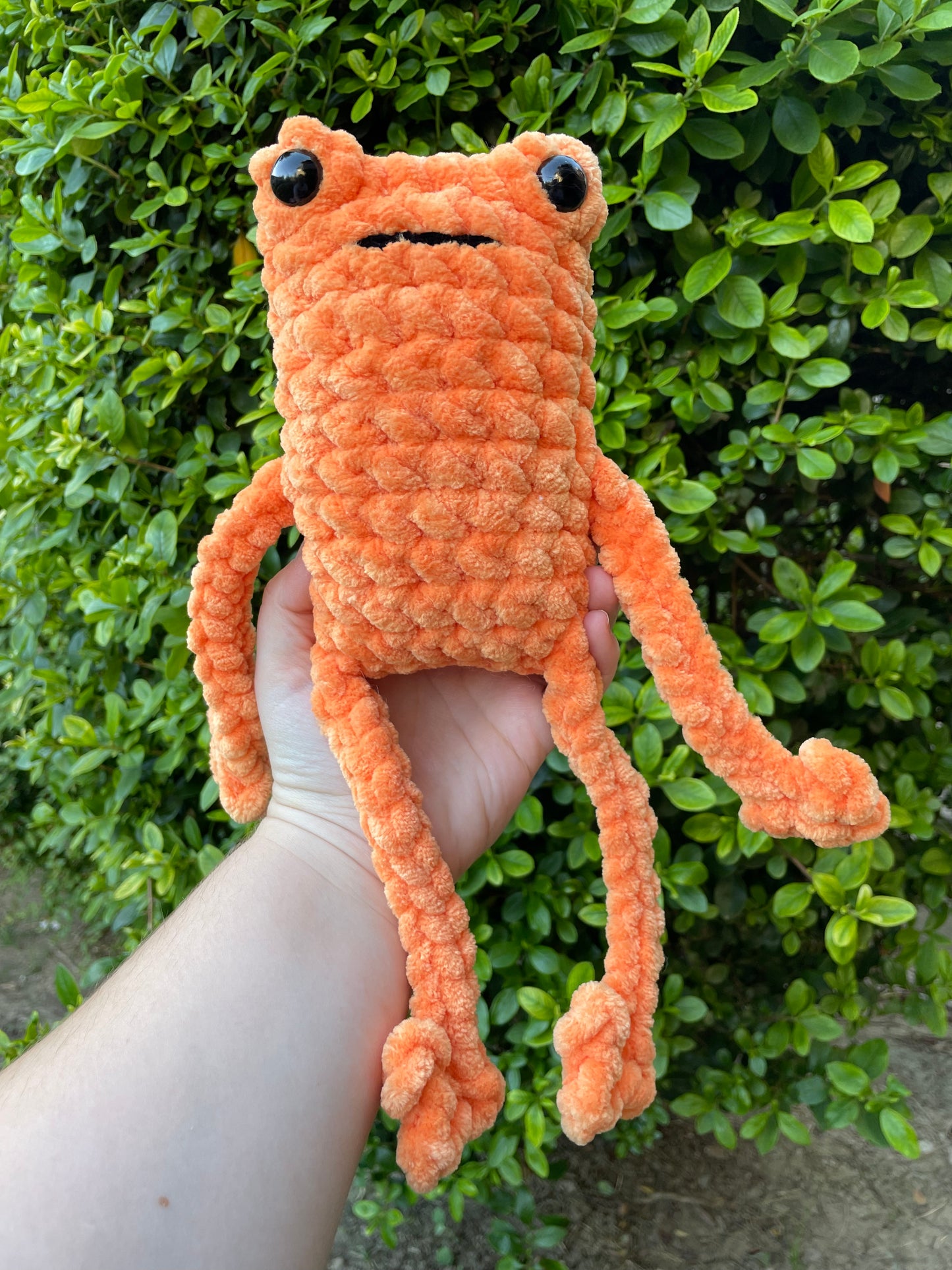 Jumbo Leggy Frog