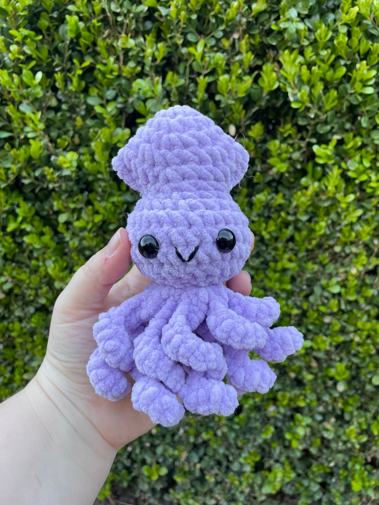 Baby Squid
