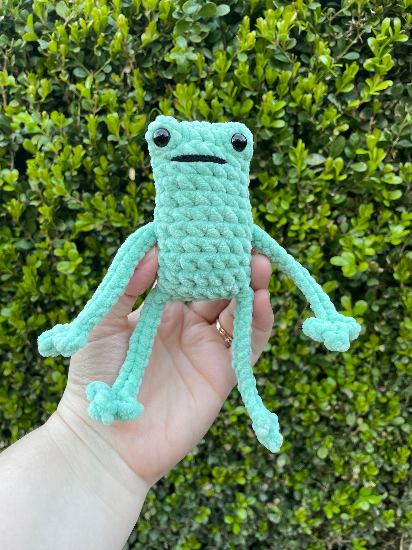 Leggy Frog