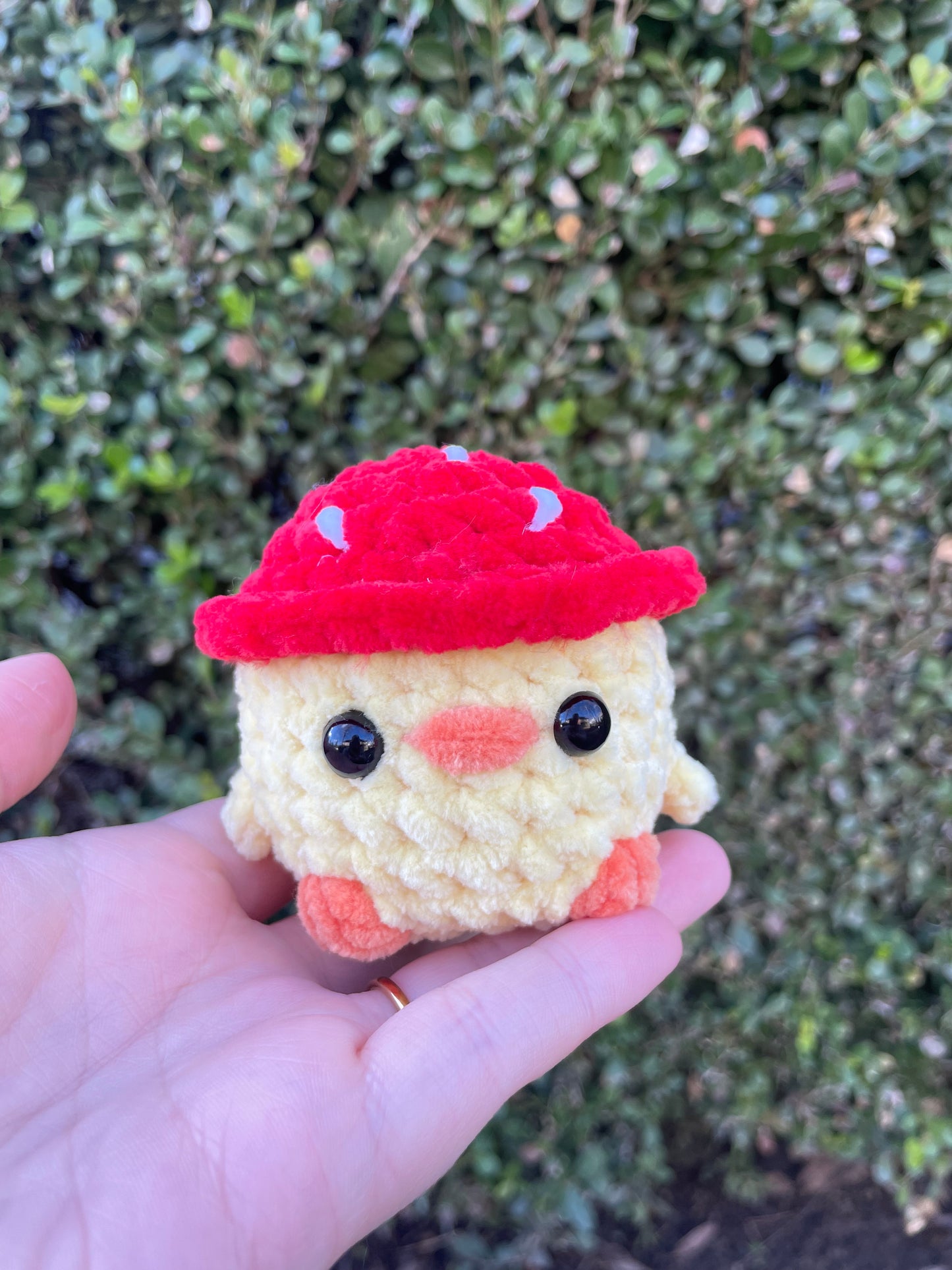 Mushroom Hat Chick