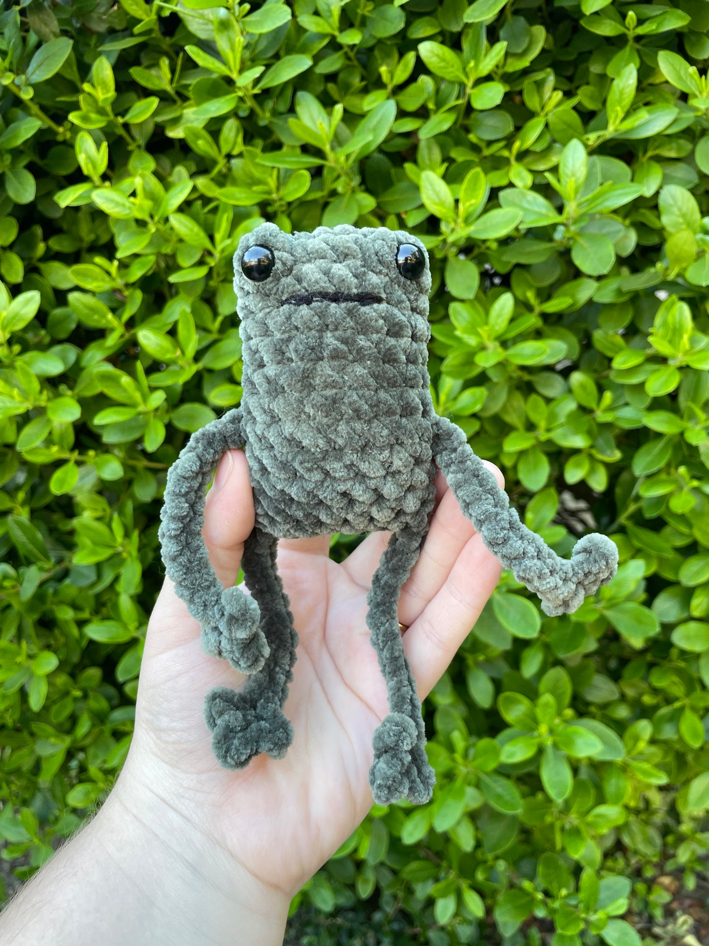 Leggy Frog