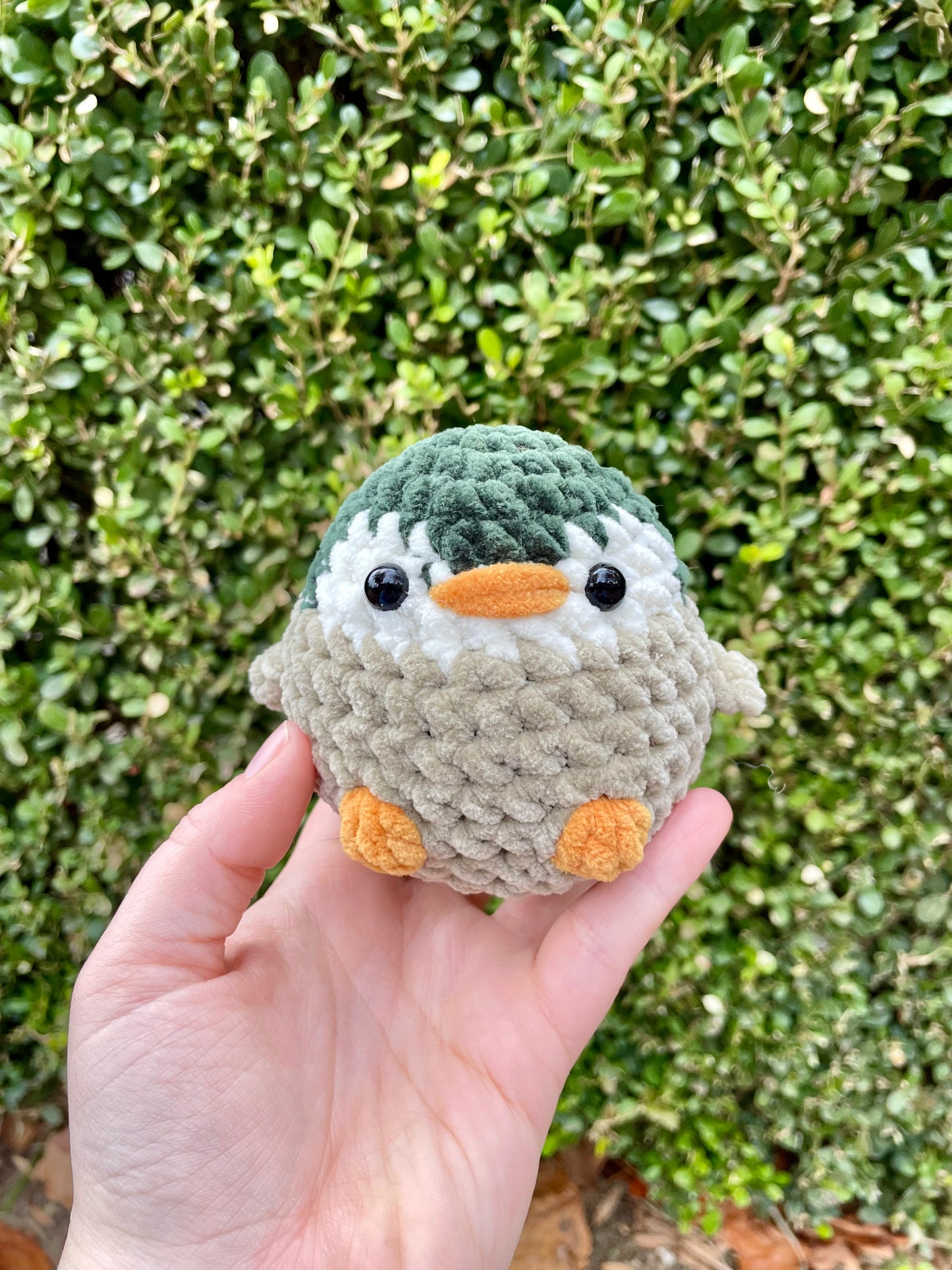 Penguin