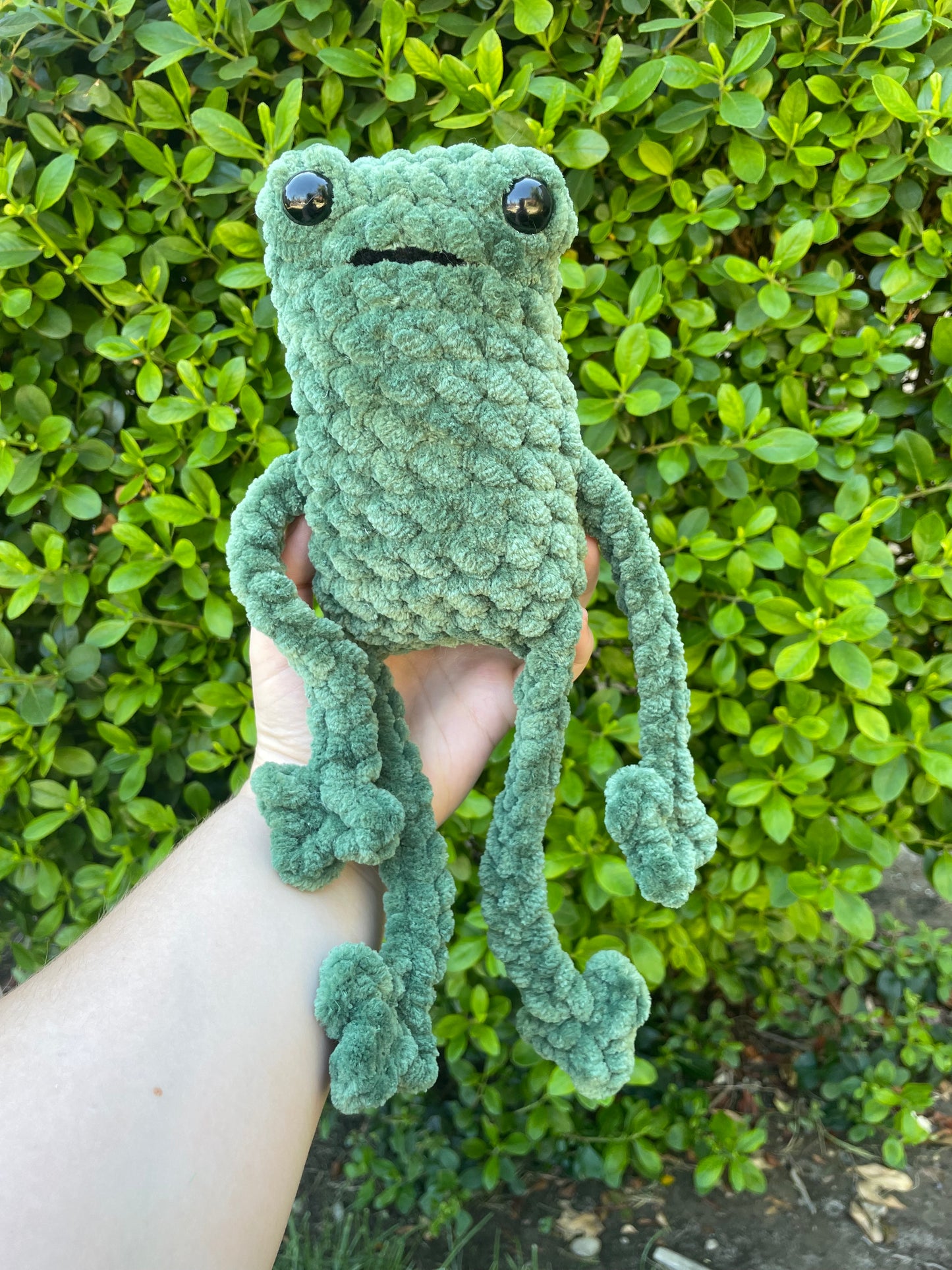 Jumbo Leggy Frog