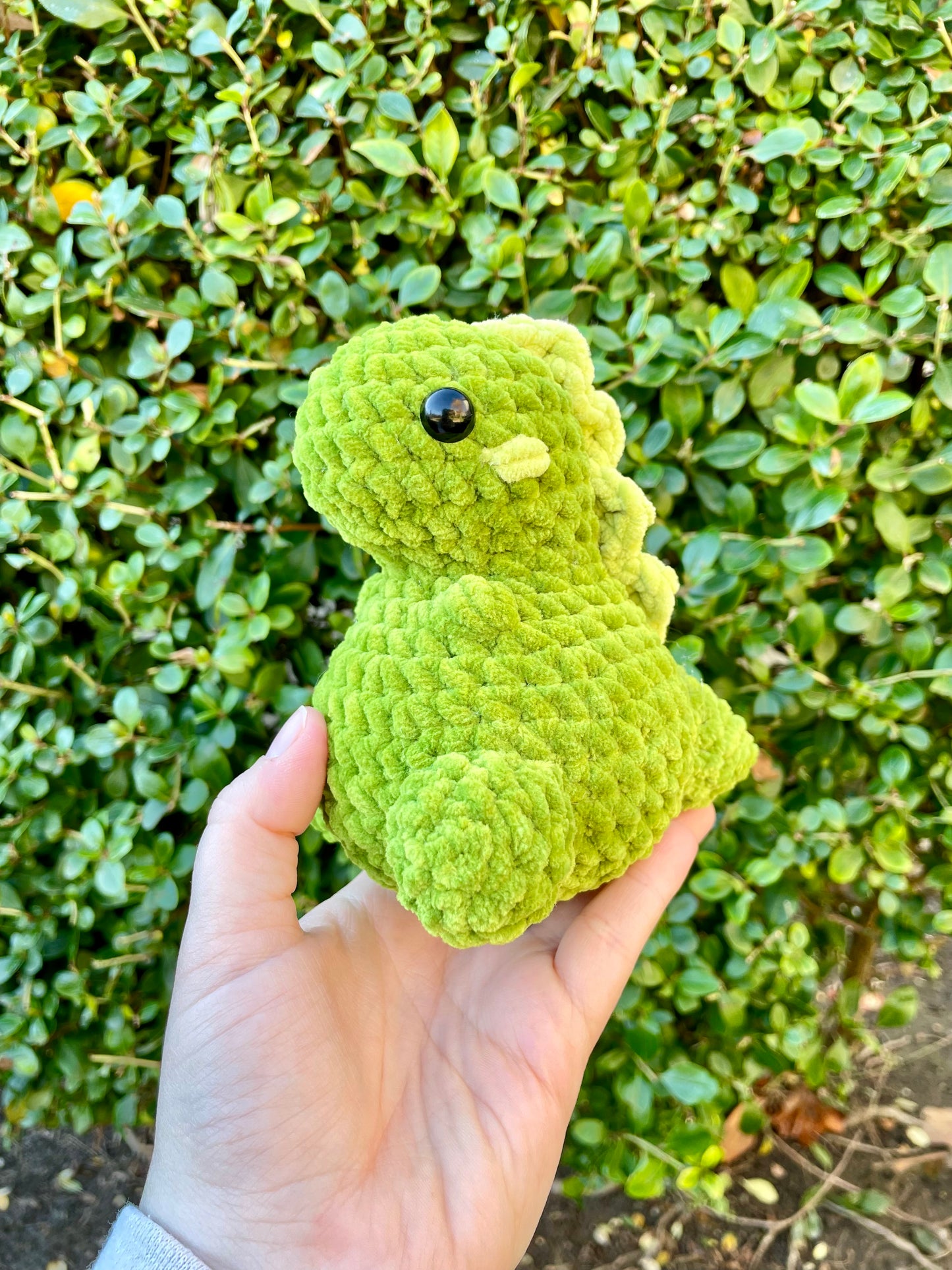 Mini Dino