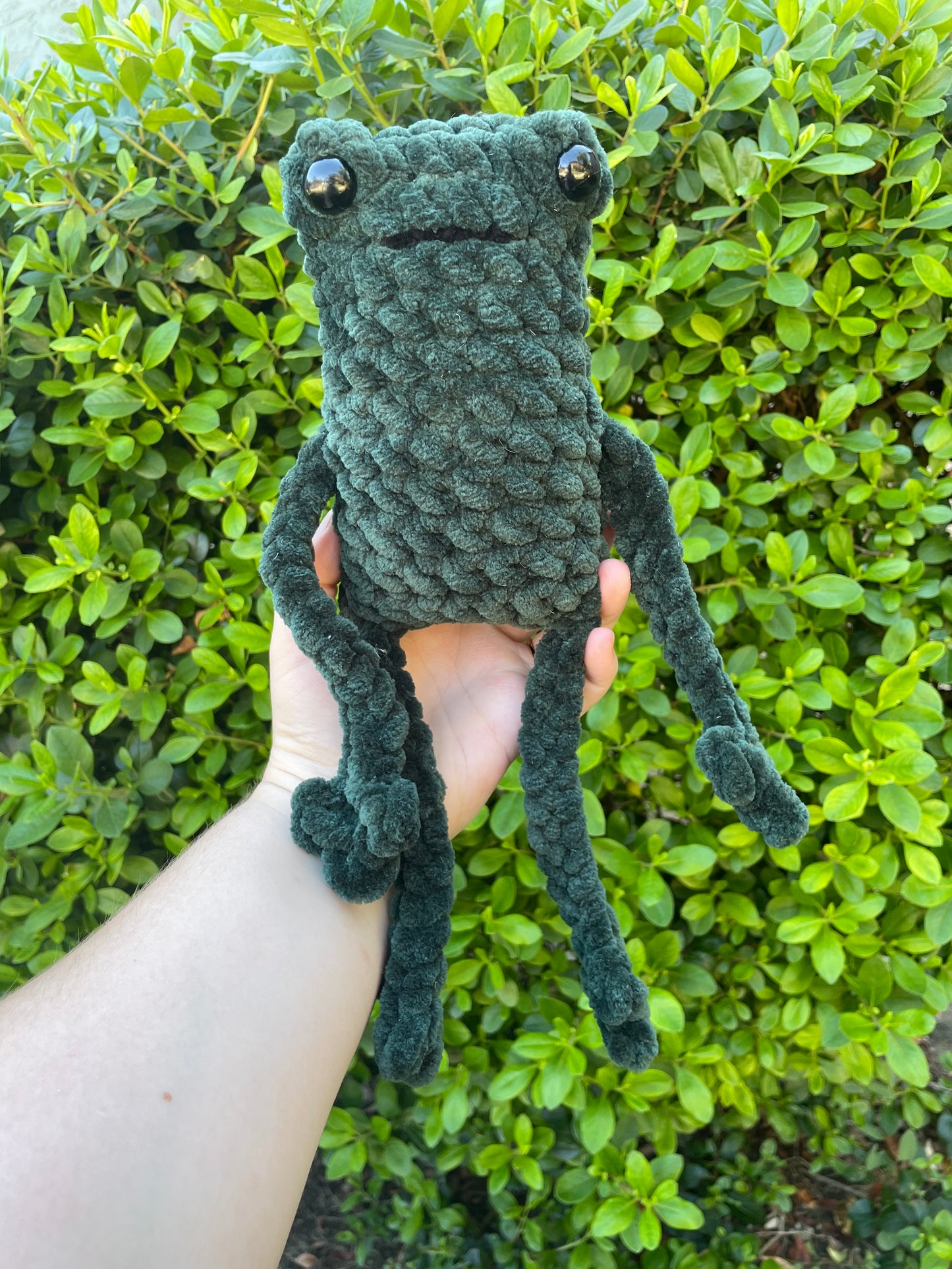 Jumbo Leggy Frog