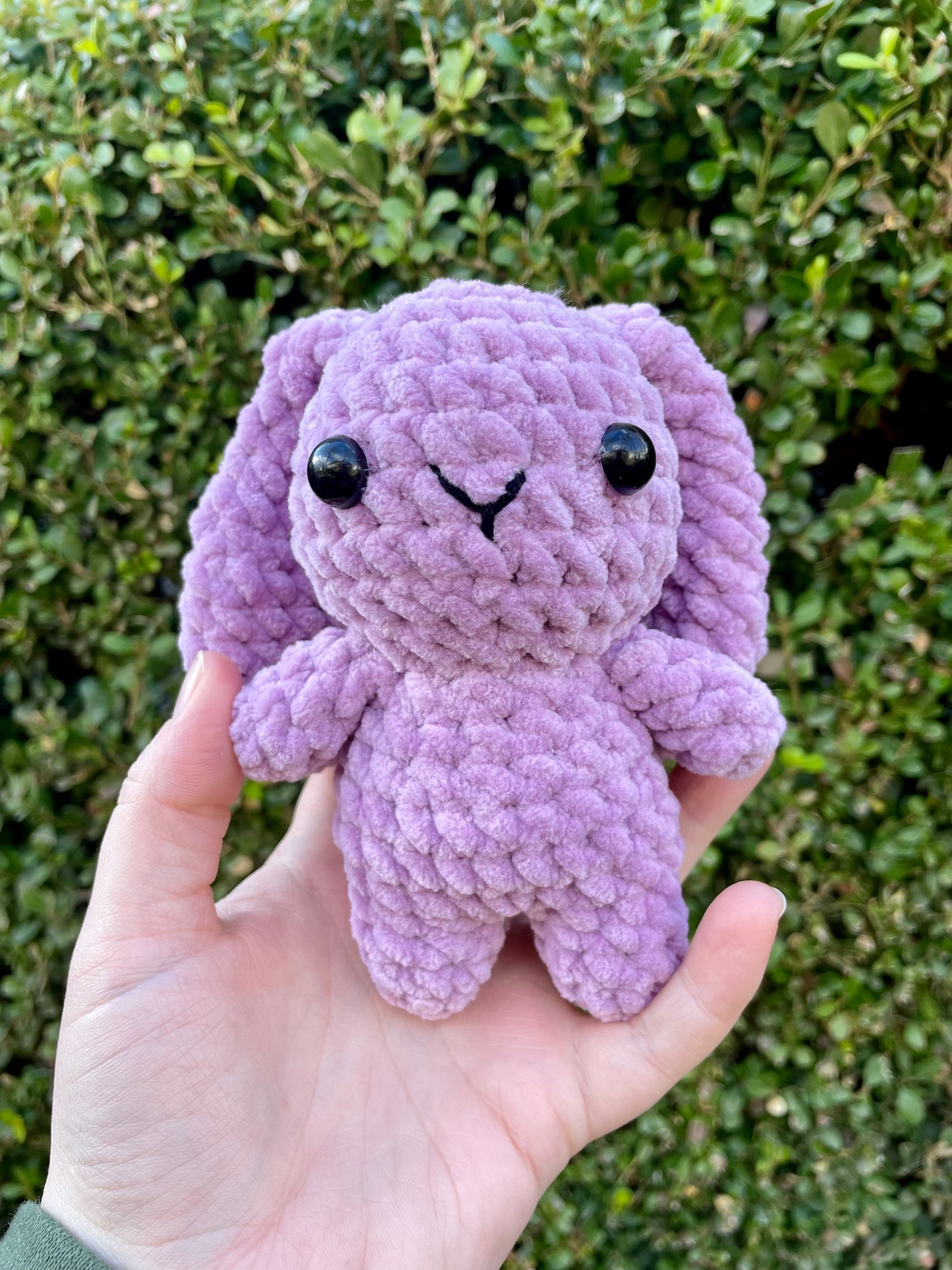 Mini Bunny