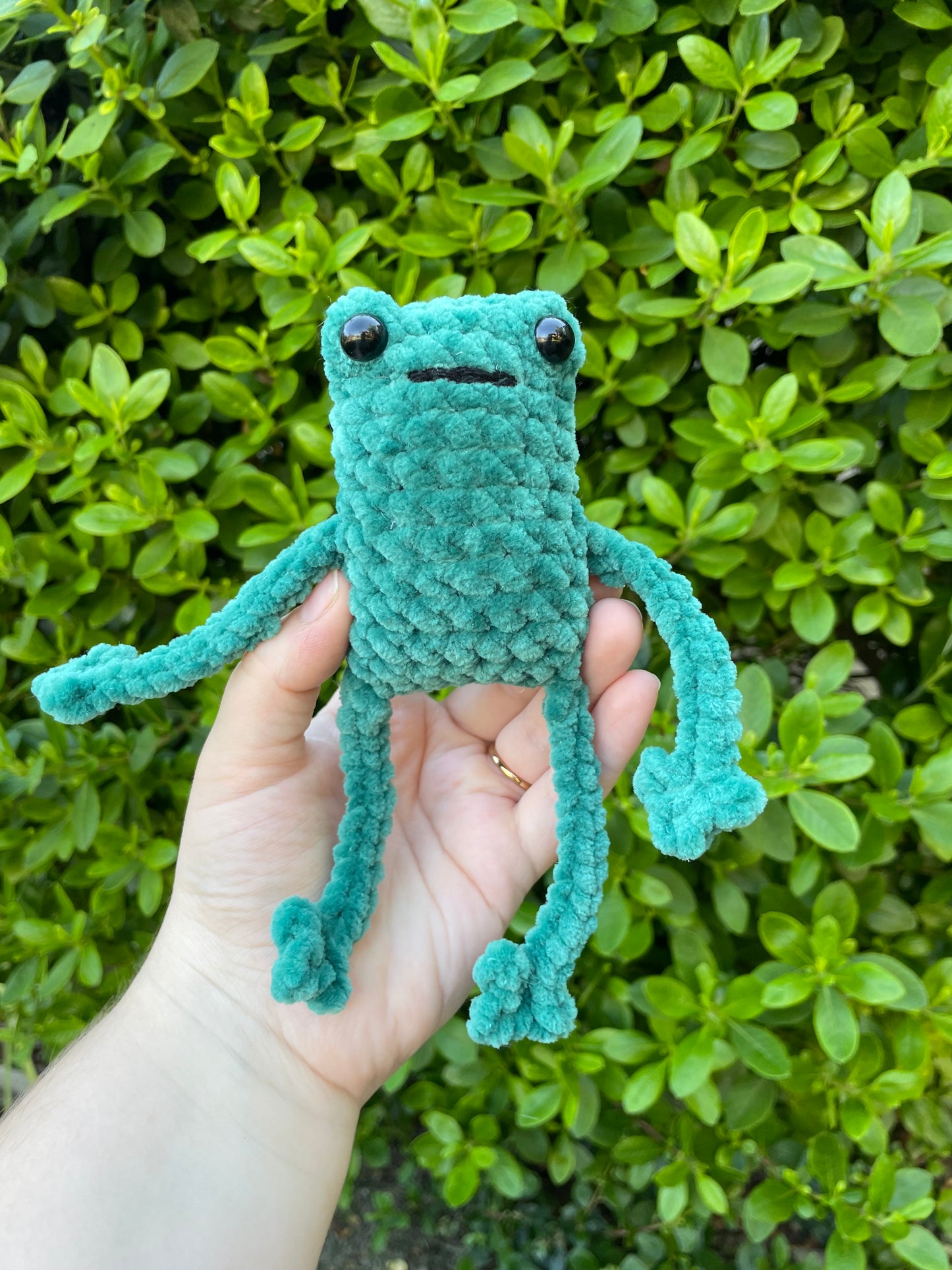Leggy Frog