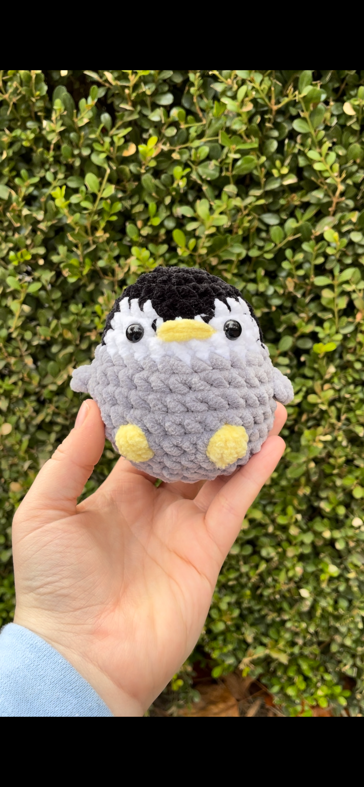 Penguin