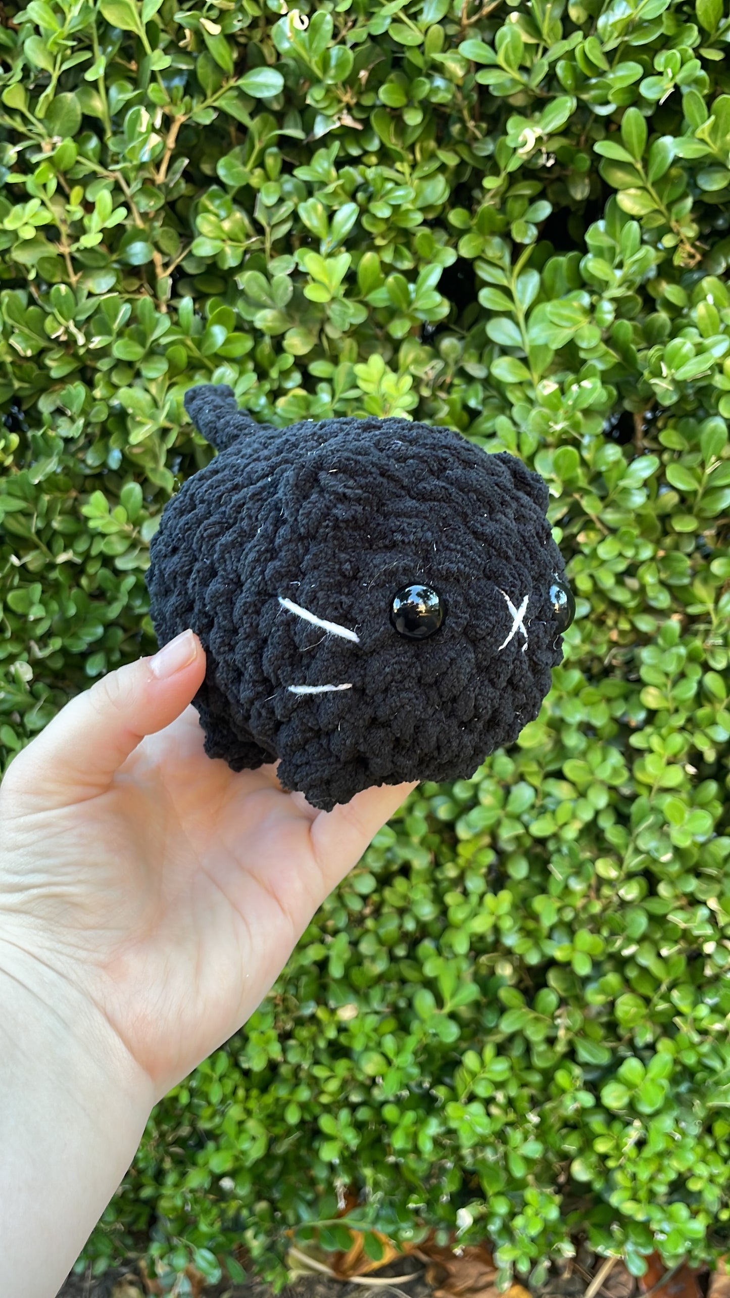 Mystery Mini Loaf Cat - Neutral