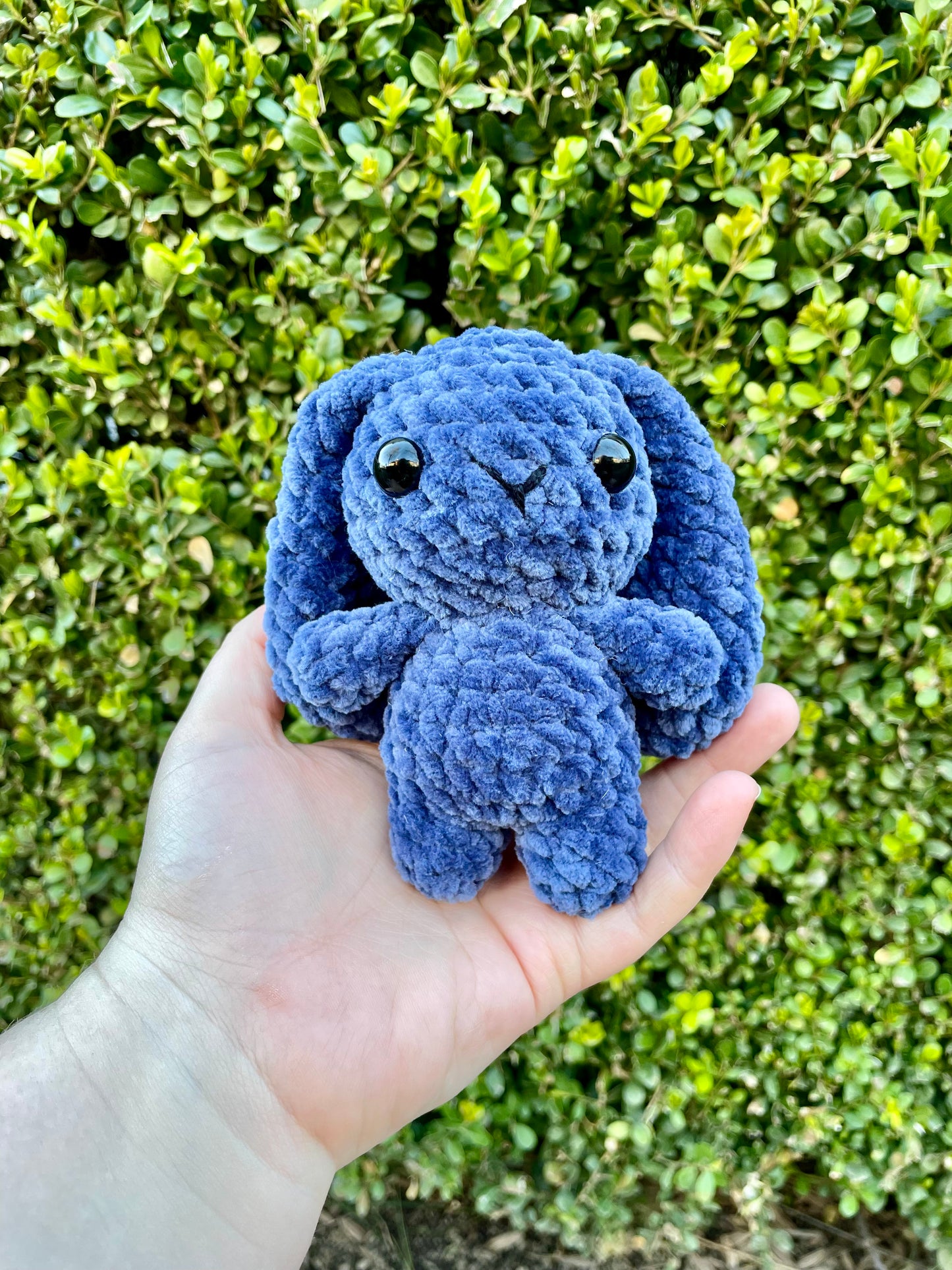 Mini Bunny