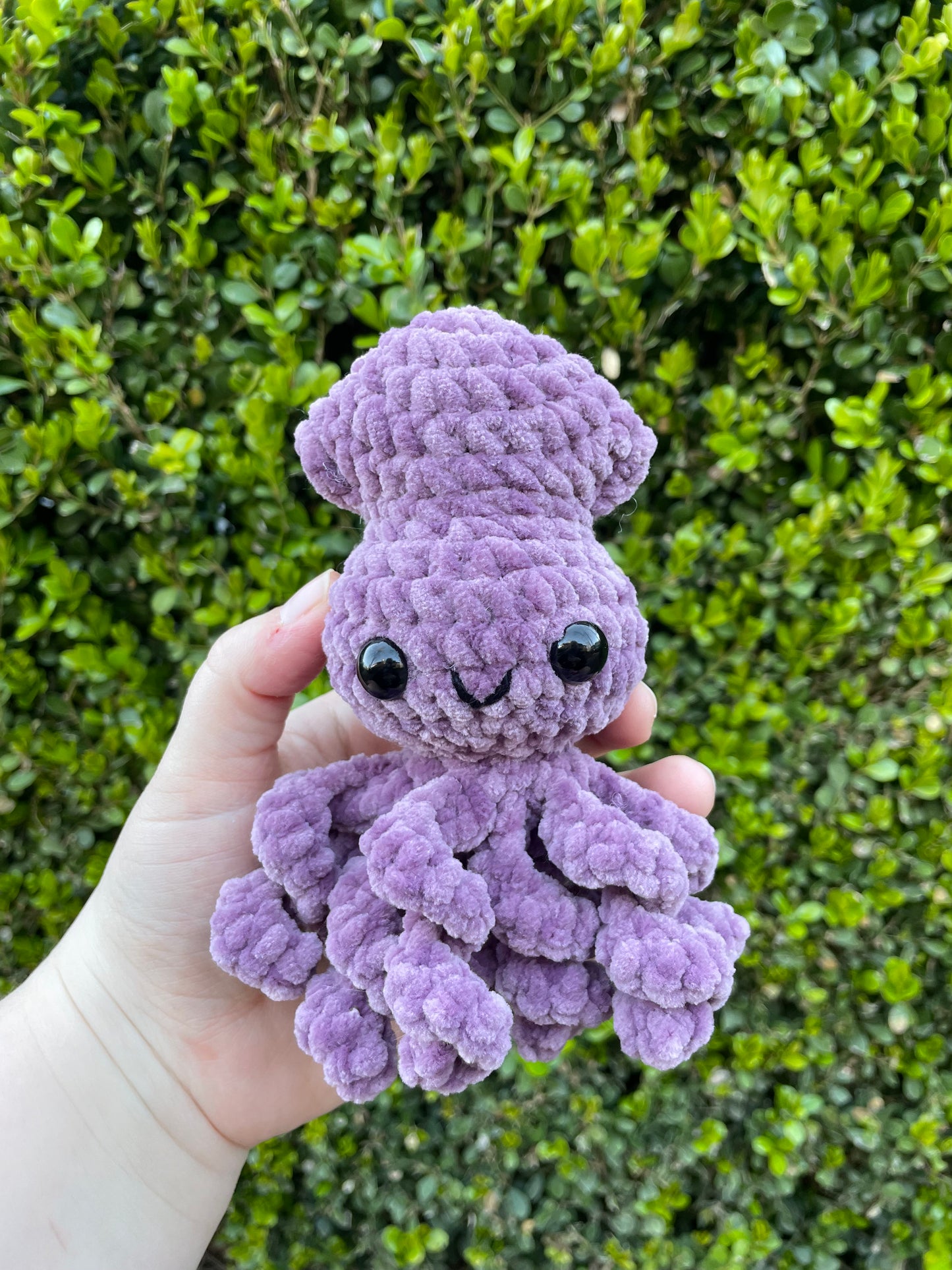 Baby Squid
