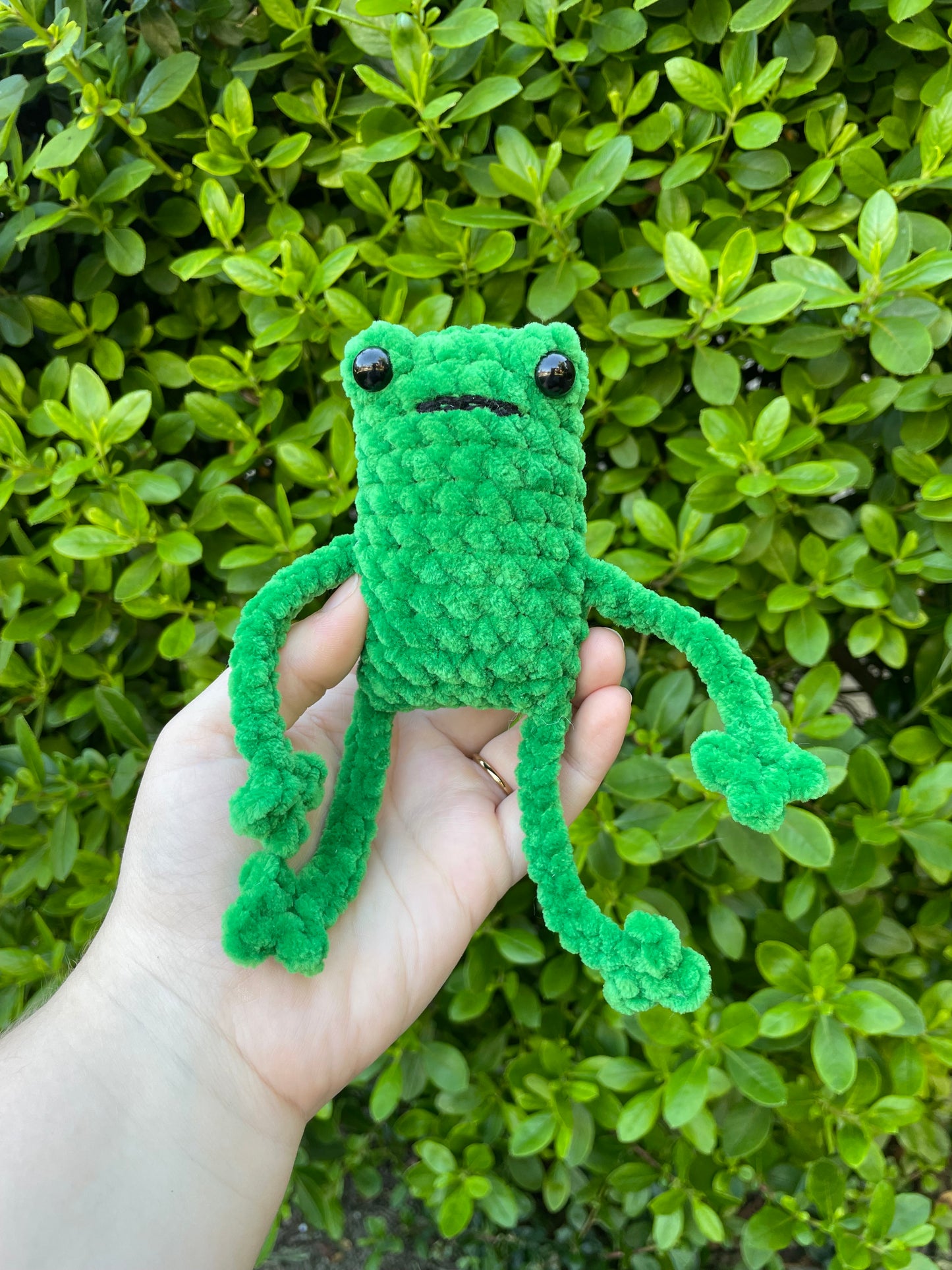 Leggy Frog