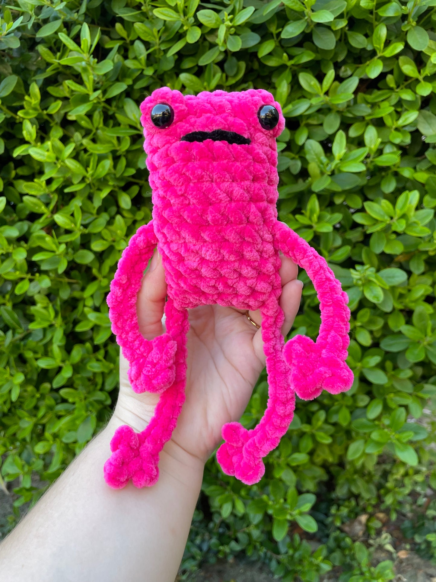 Jumbo Leggy Frog