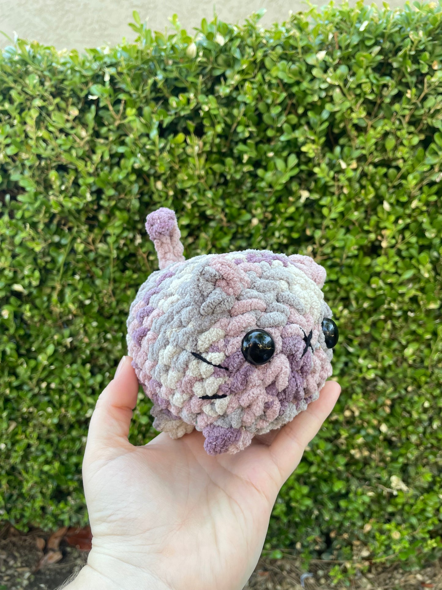 Mystery Mini Loaf Cat - Fun Colors
