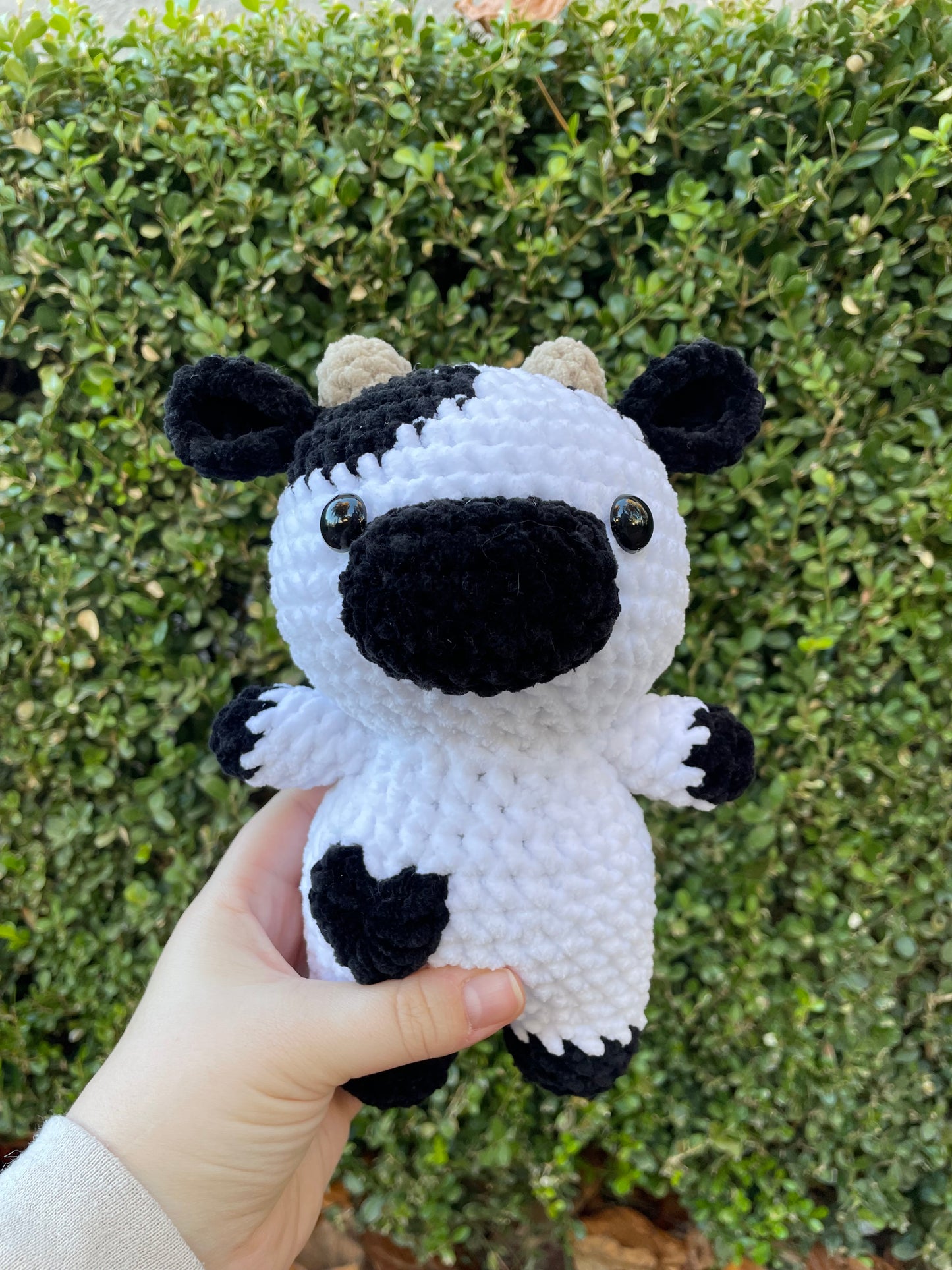 Cow