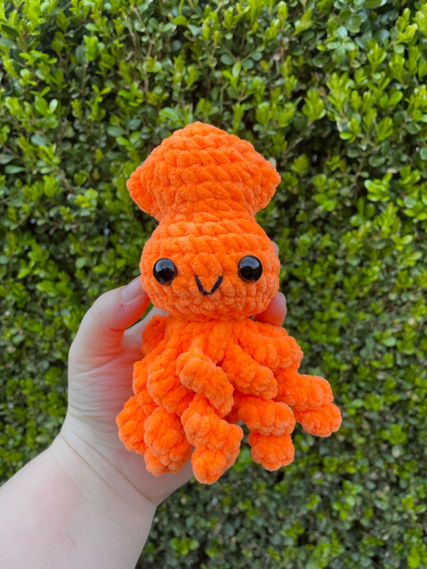 Baby Squid