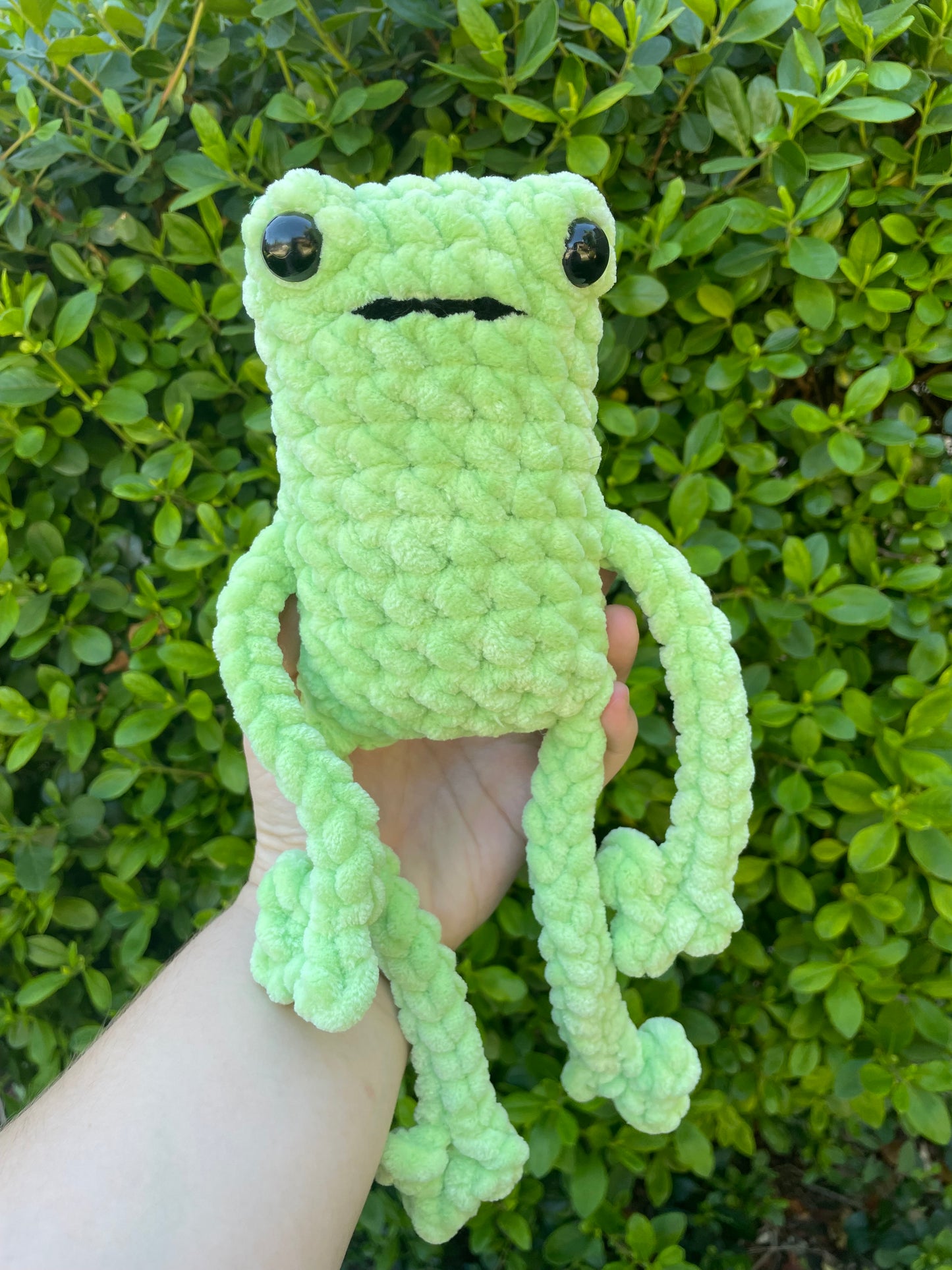 Jumbo Leggy Frog