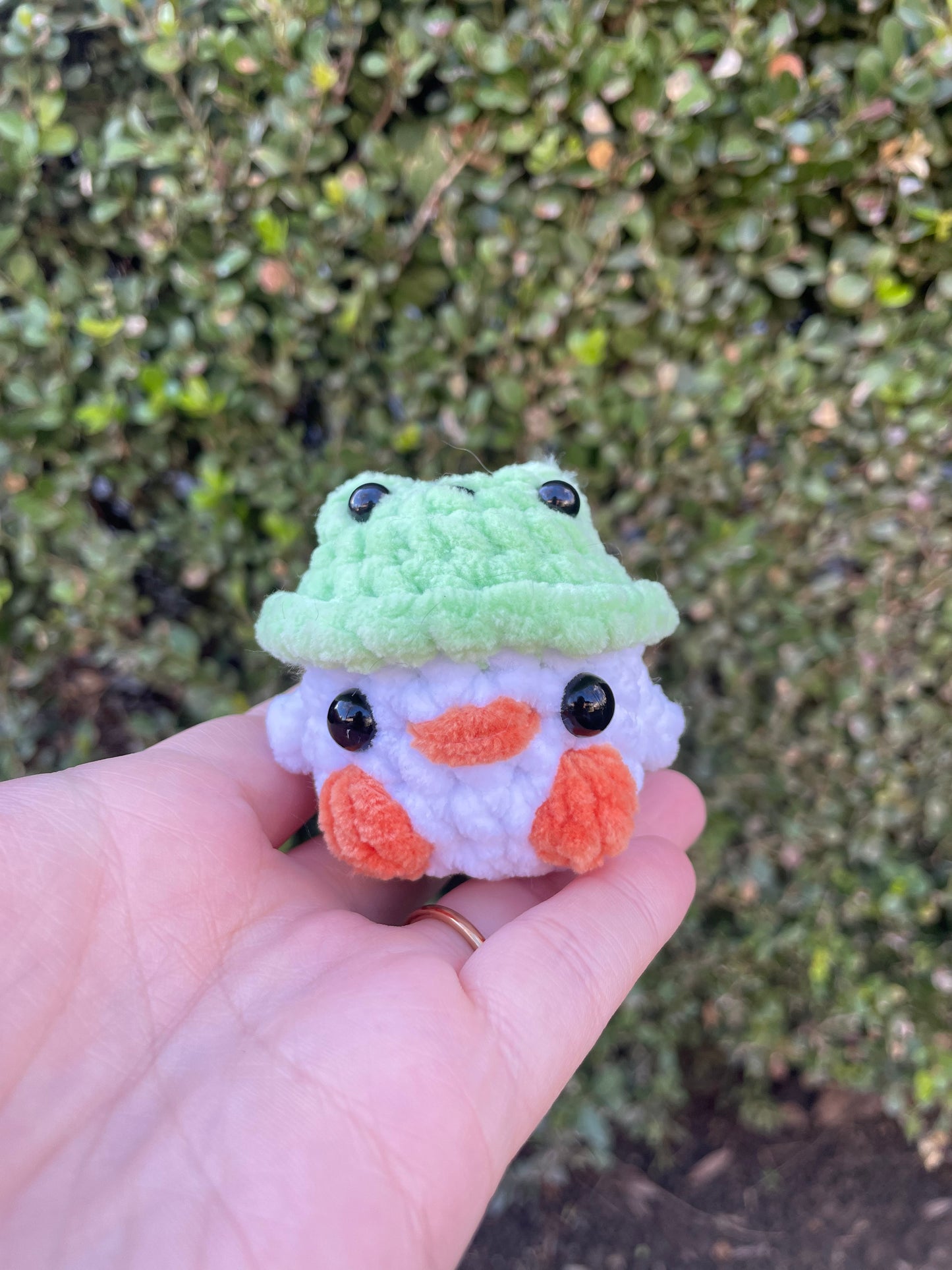 Frog Hat Chick