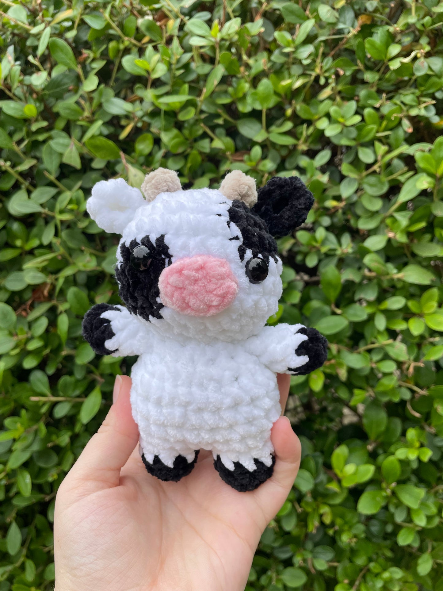 Mini Cow
