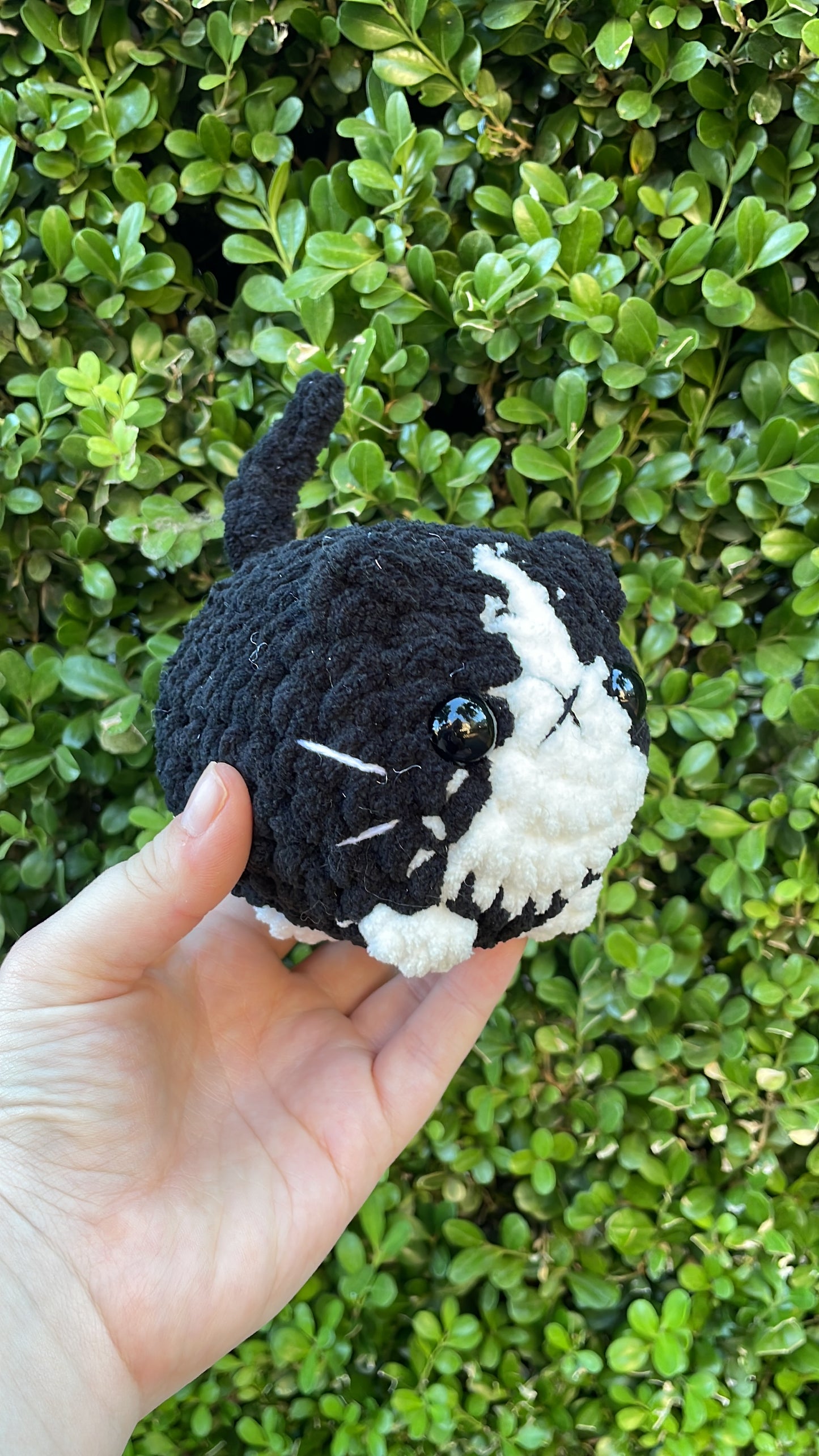 Mystery Mini Loaf Cat - Neutral