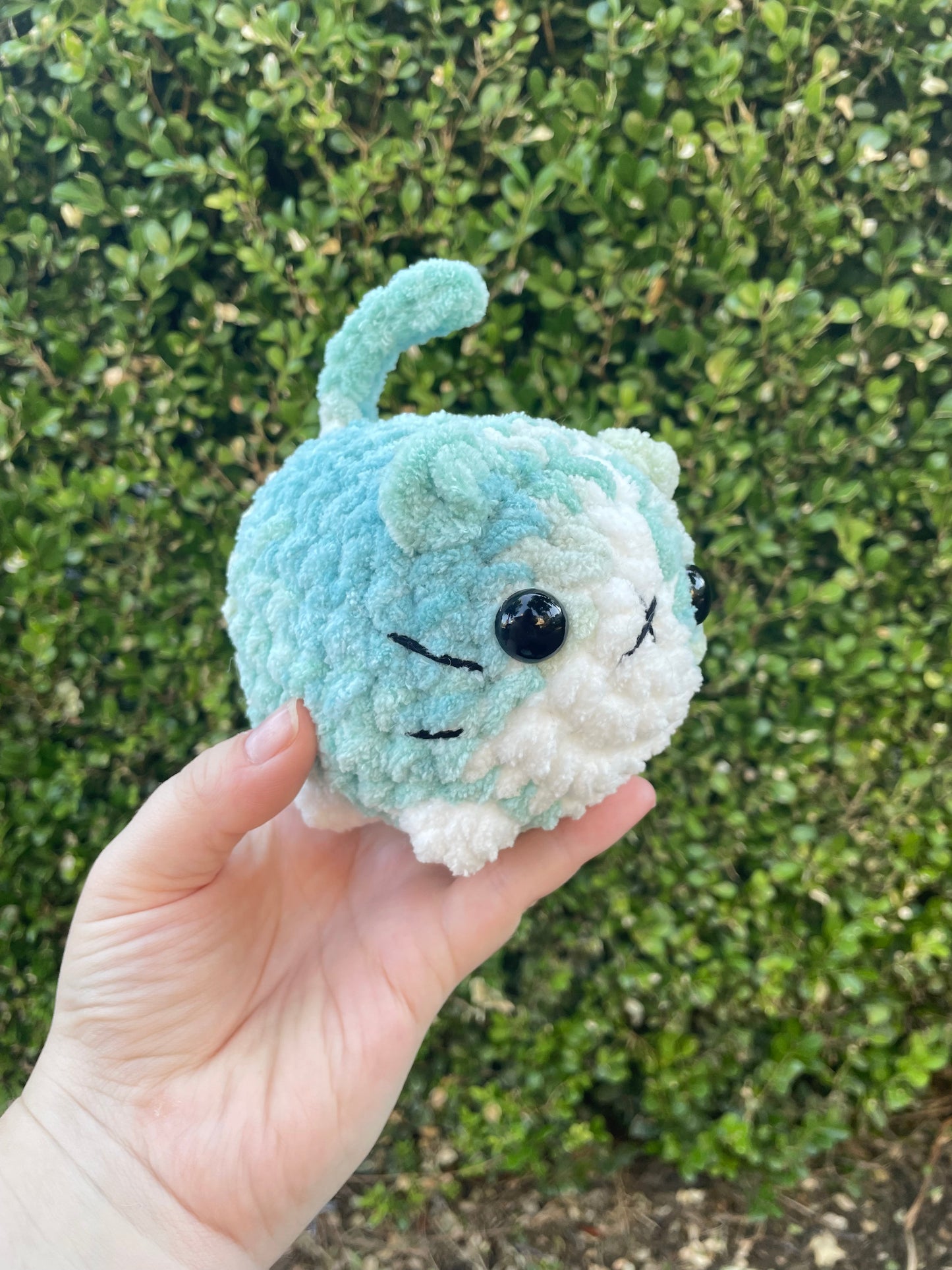 Mystery Mini Loaf Cat - Fun Colors
