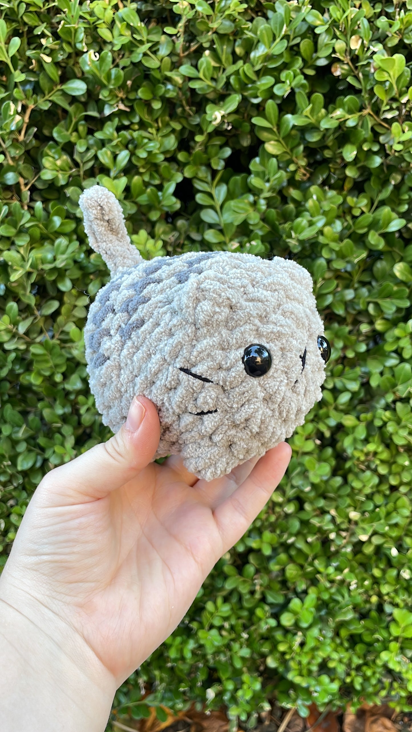 Mystery Mini Loaf Cat - Neutral