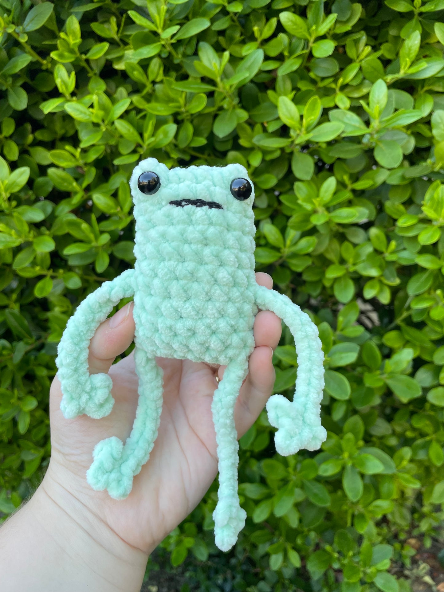 Leggy Frog