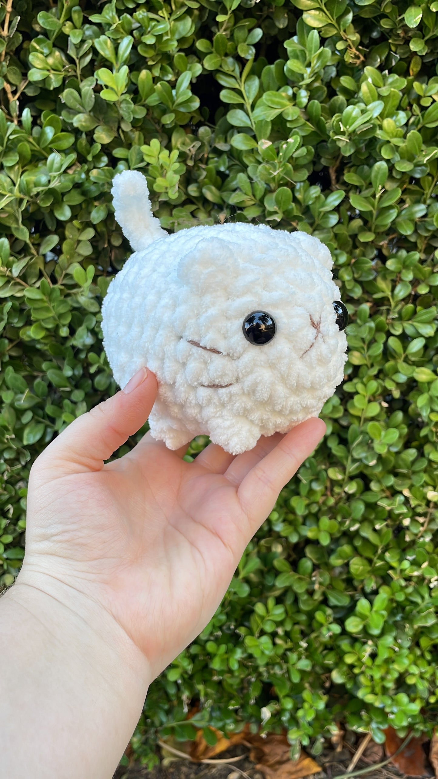 Mystery Mini Loaf Cat - Neutral