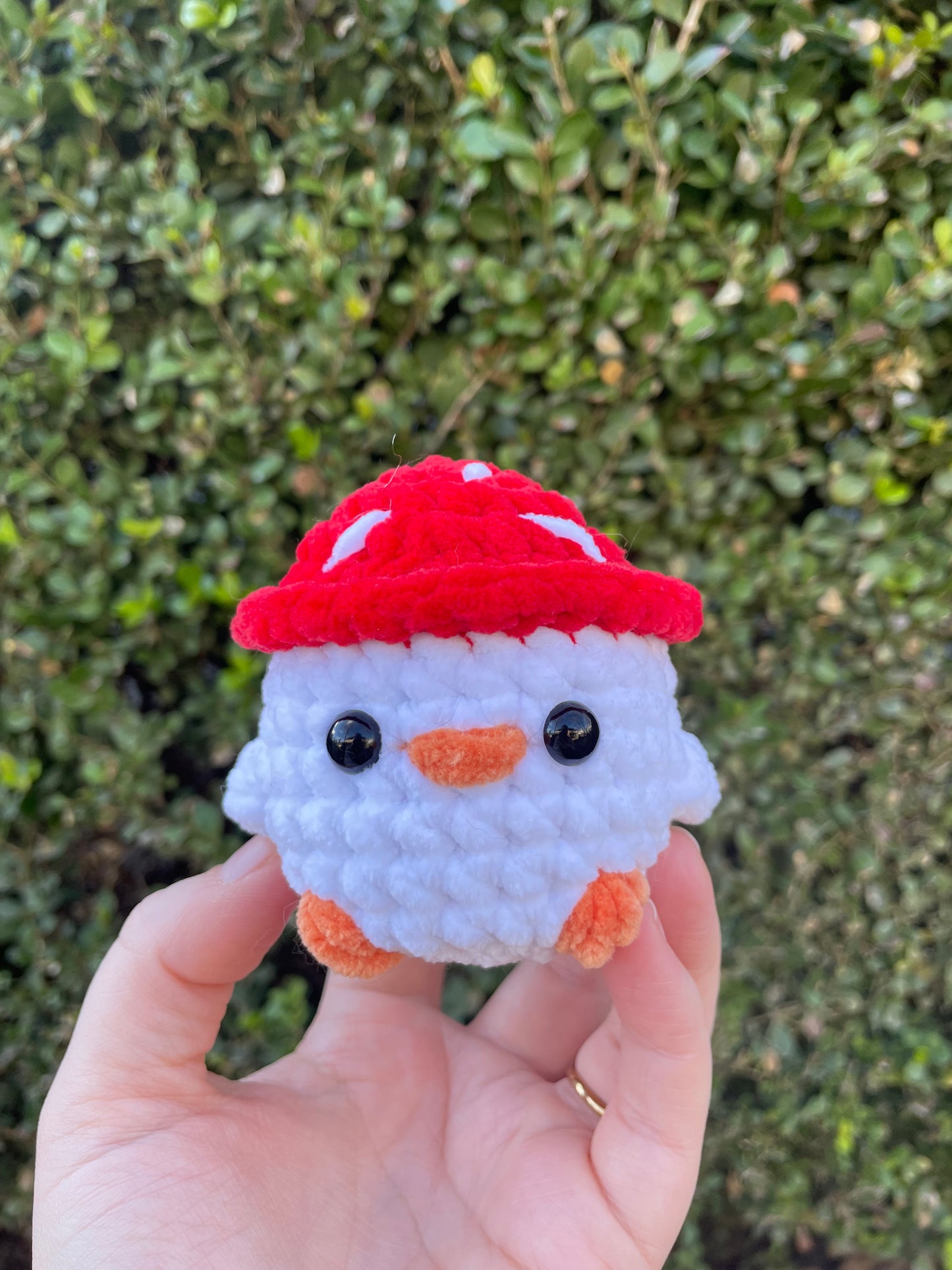 Mushroom Hat Chick