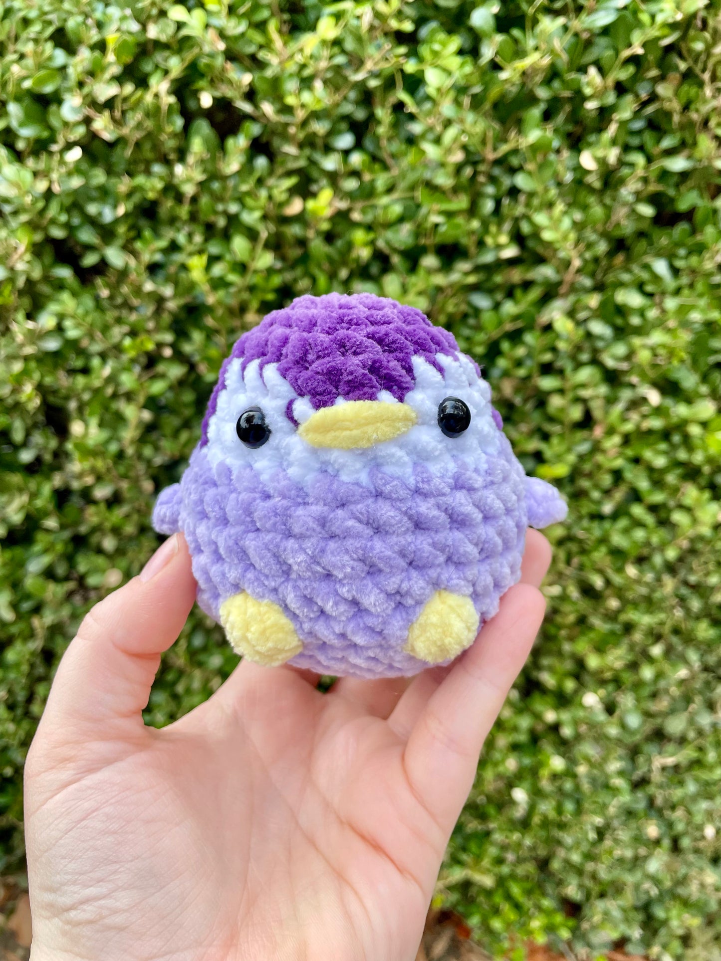 Penguin