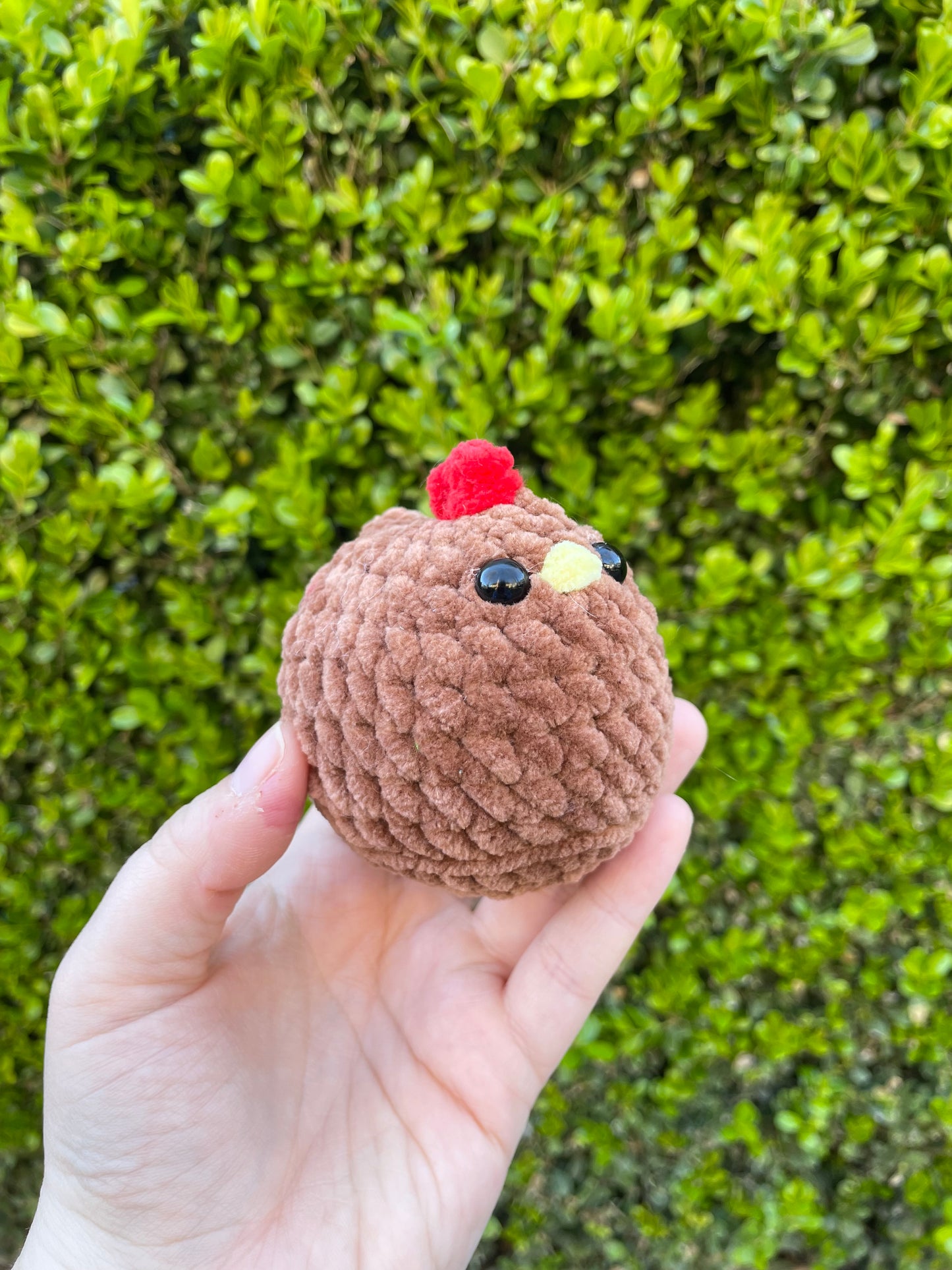 Mabel Chicken
