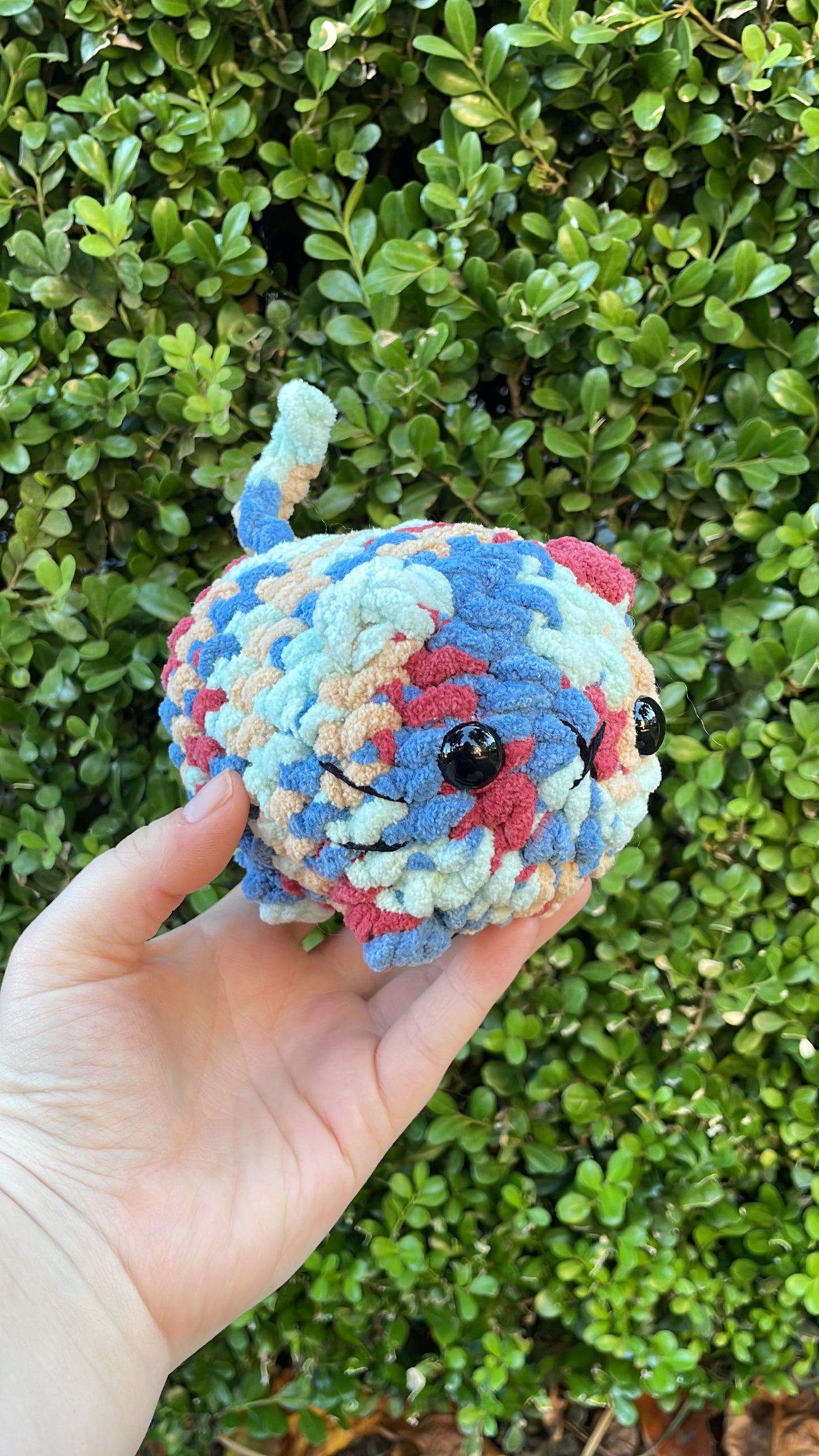 Mystery Mini Loaf Cat - Fun Colors