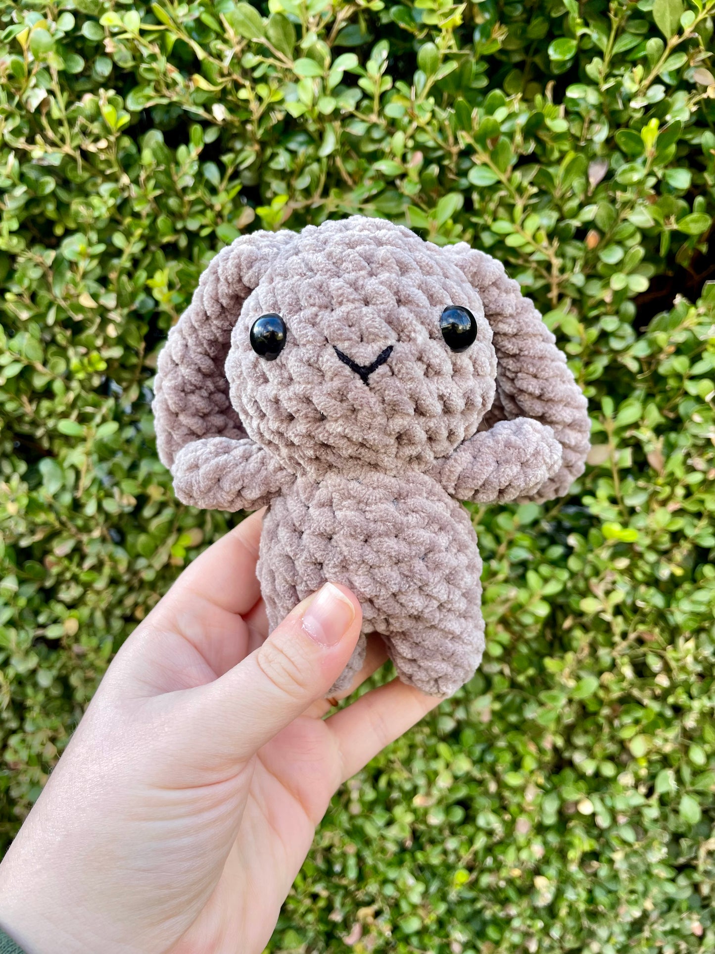 Mini Bunny