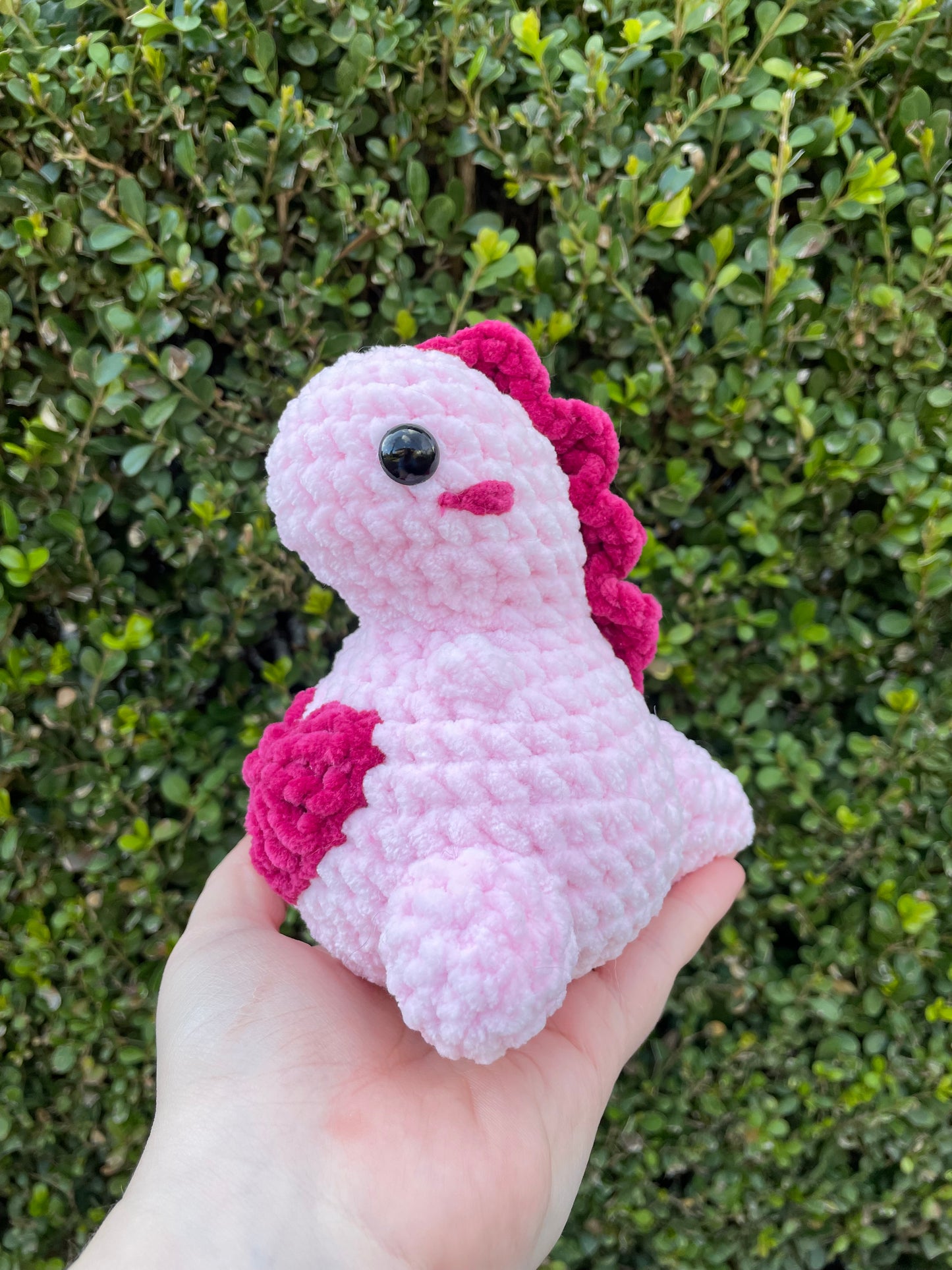 Heart Belly Mini Dino