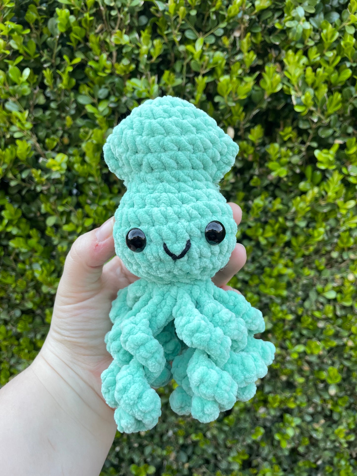 Baby Squid