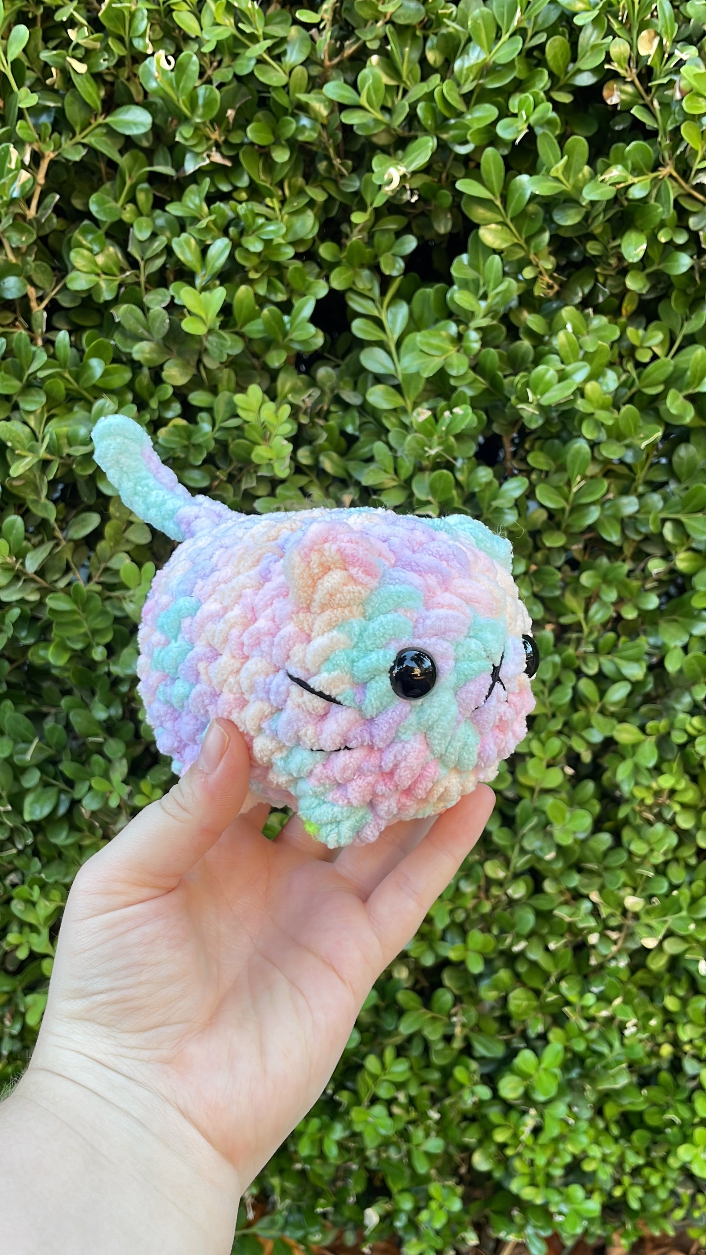 Mystery Mini Loaf Cat - Fun Colors