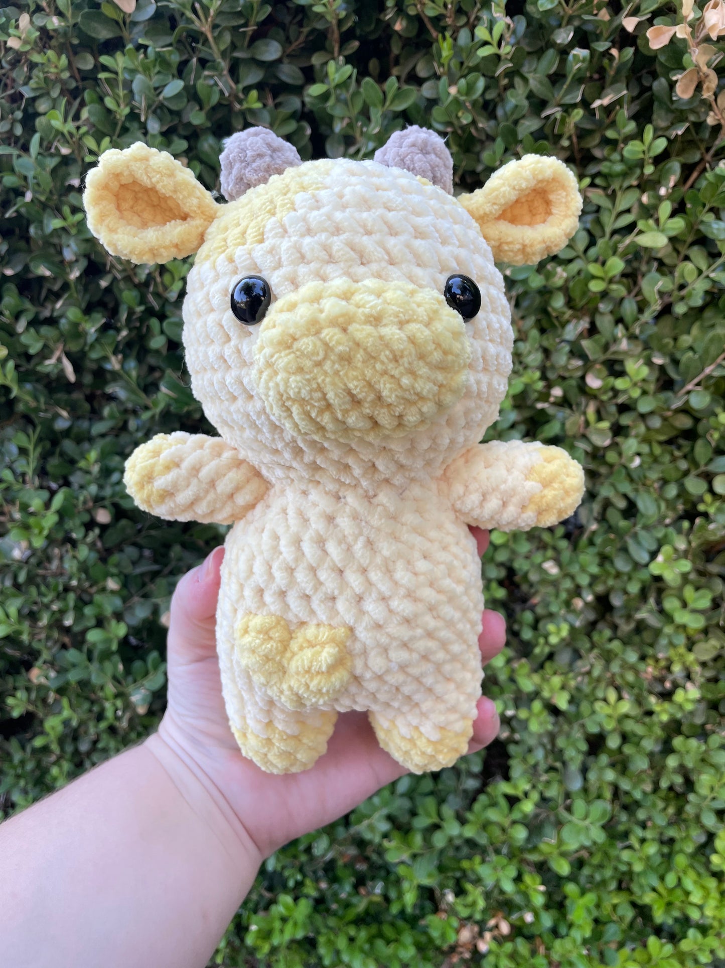 Cow