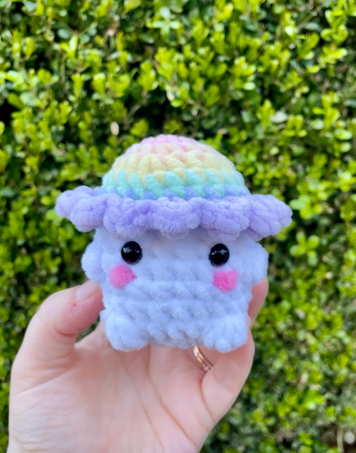 Rainbow Chonky Boi