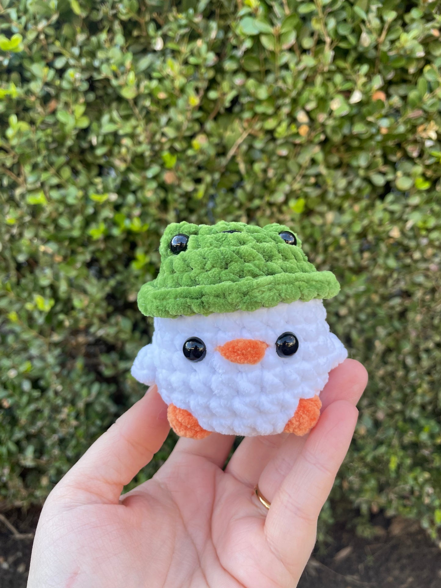 Frog Hat Chick