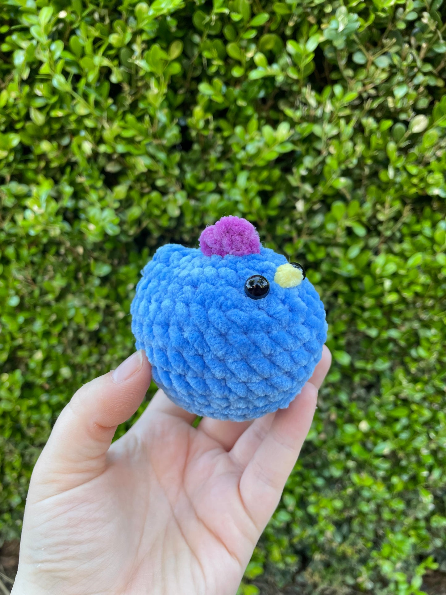 Mabel Chicken