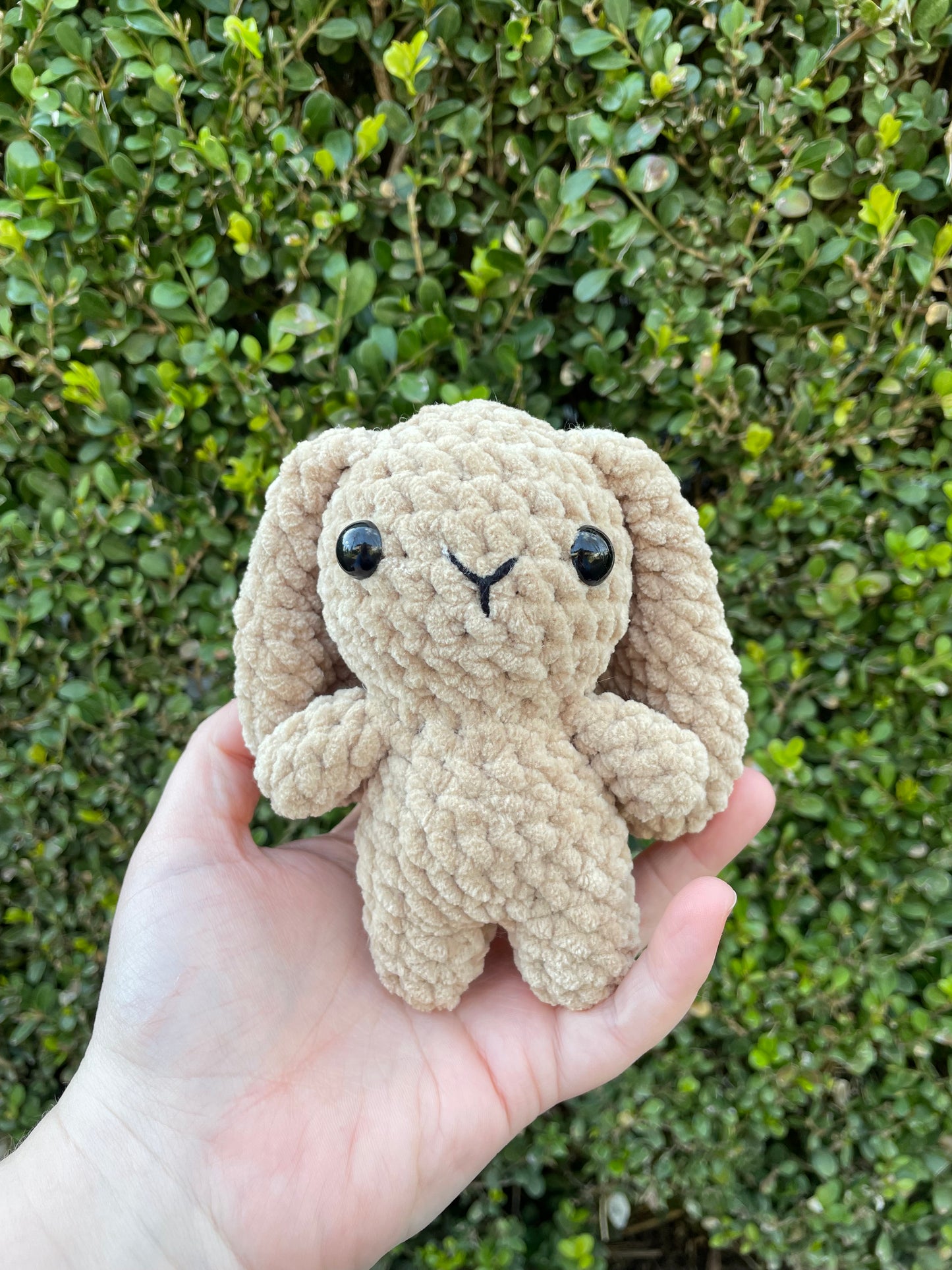 Mini Bunny