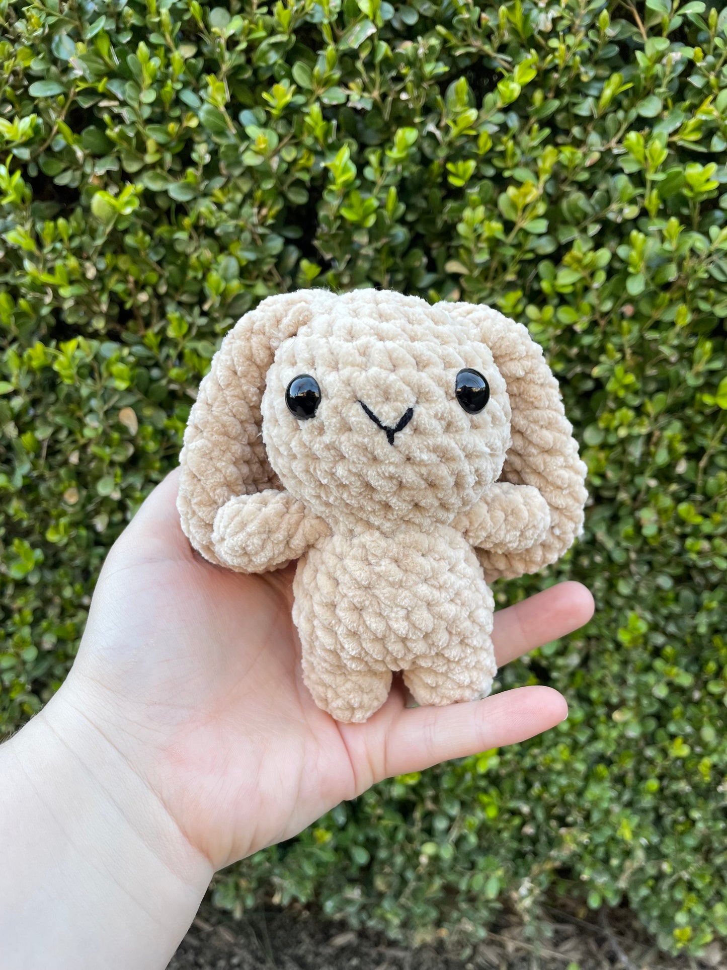 Mini Bunny