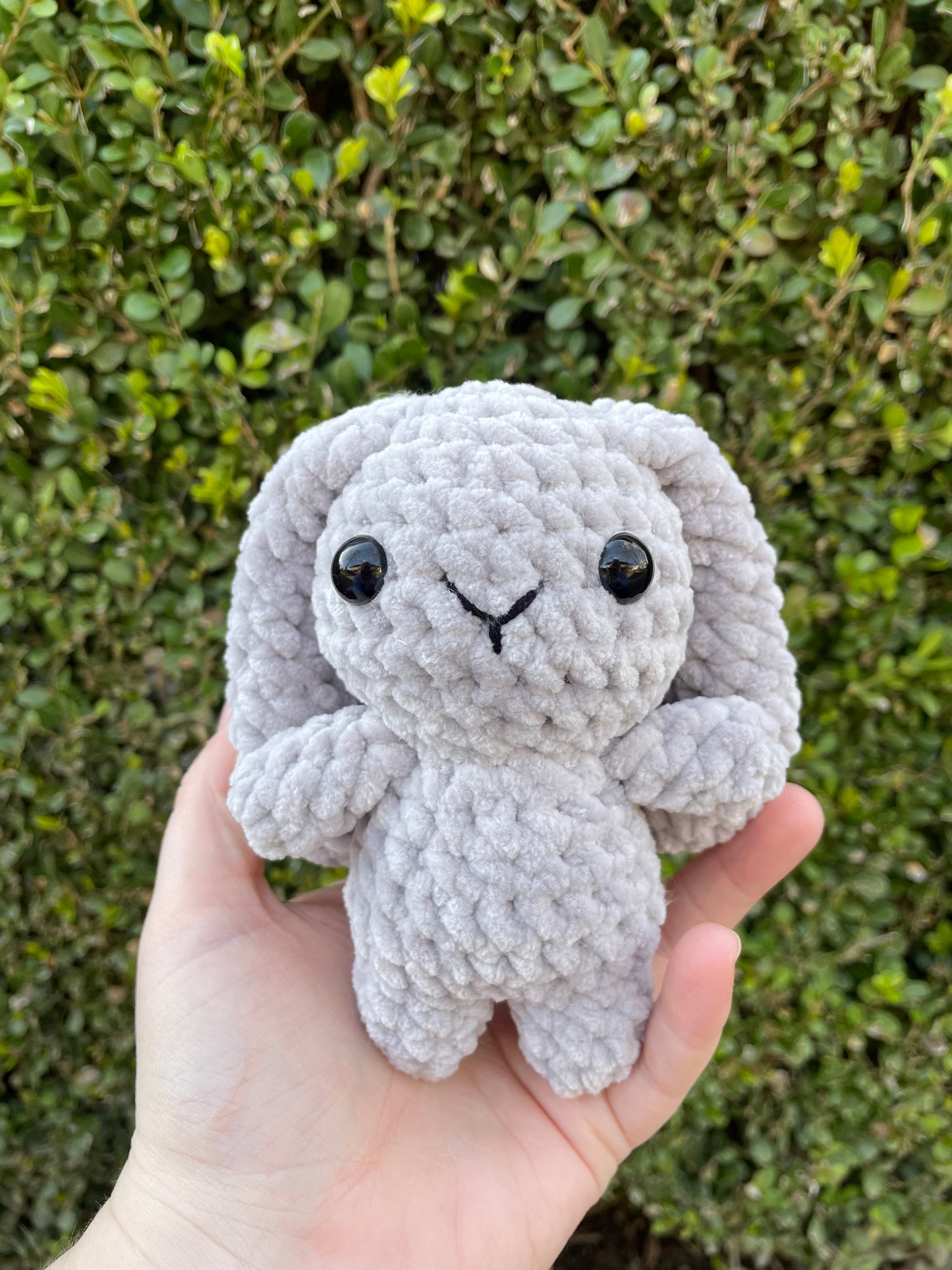 Mini Bunny