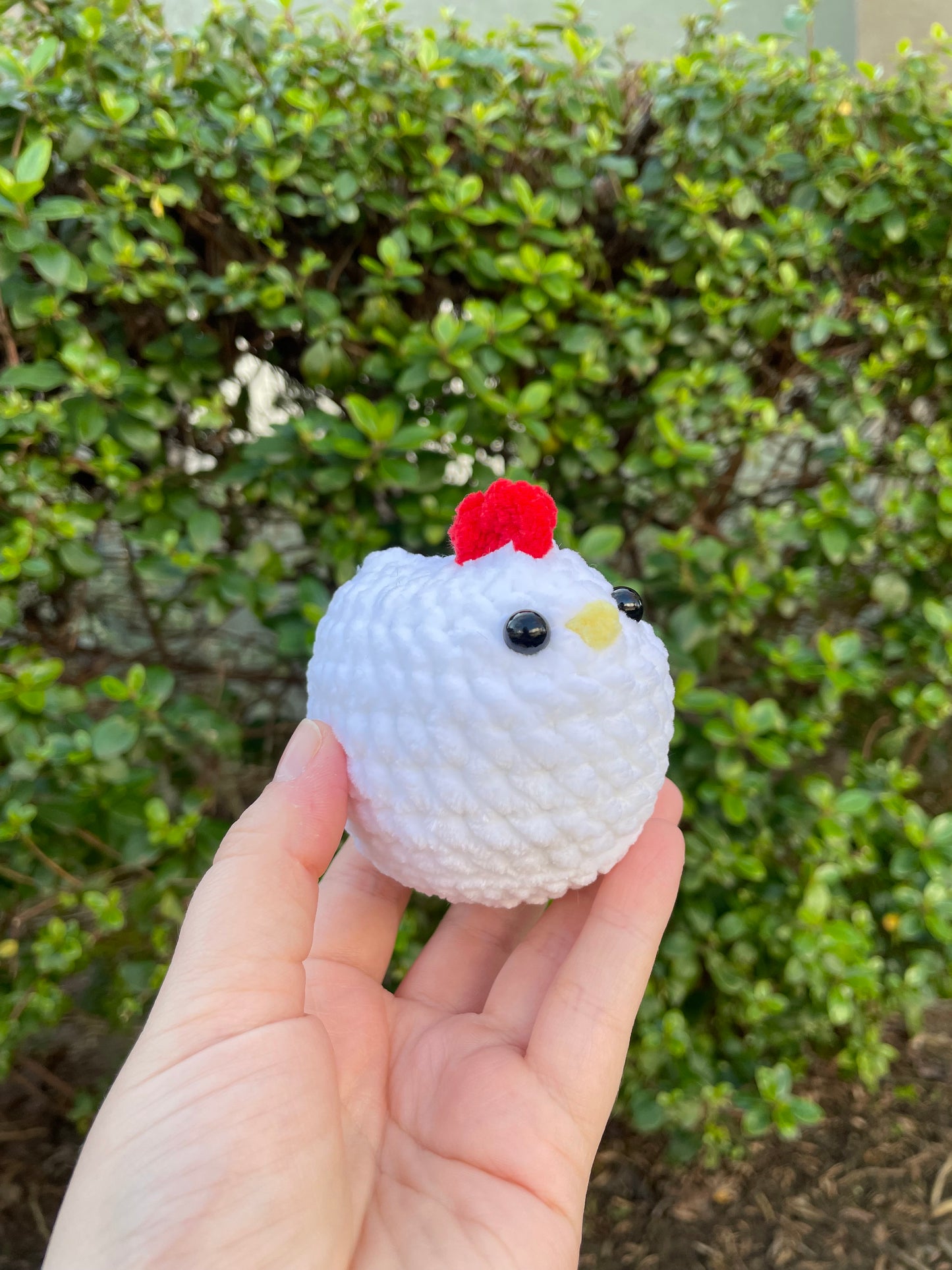Mabel Chicken