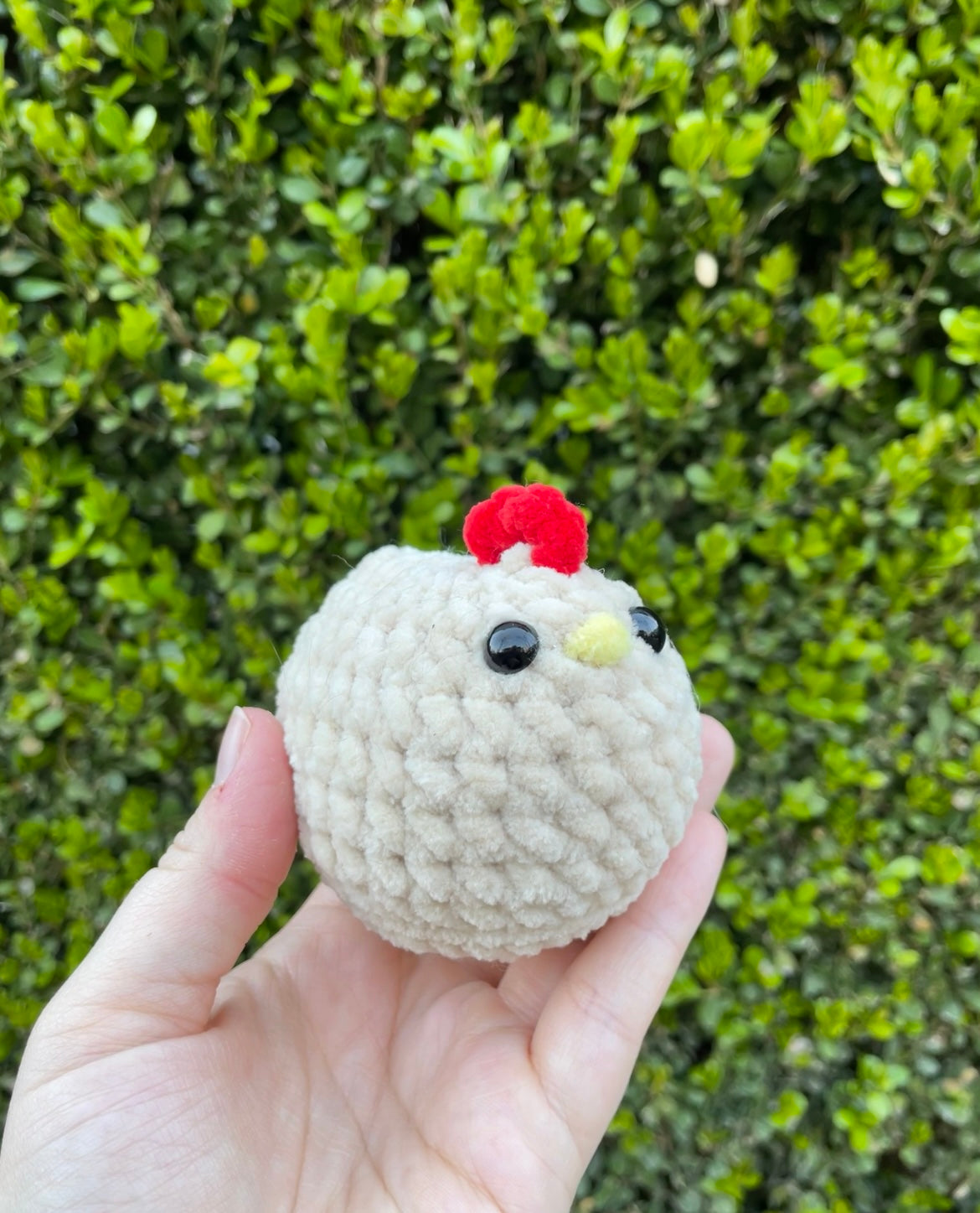 Mabel Chicken
