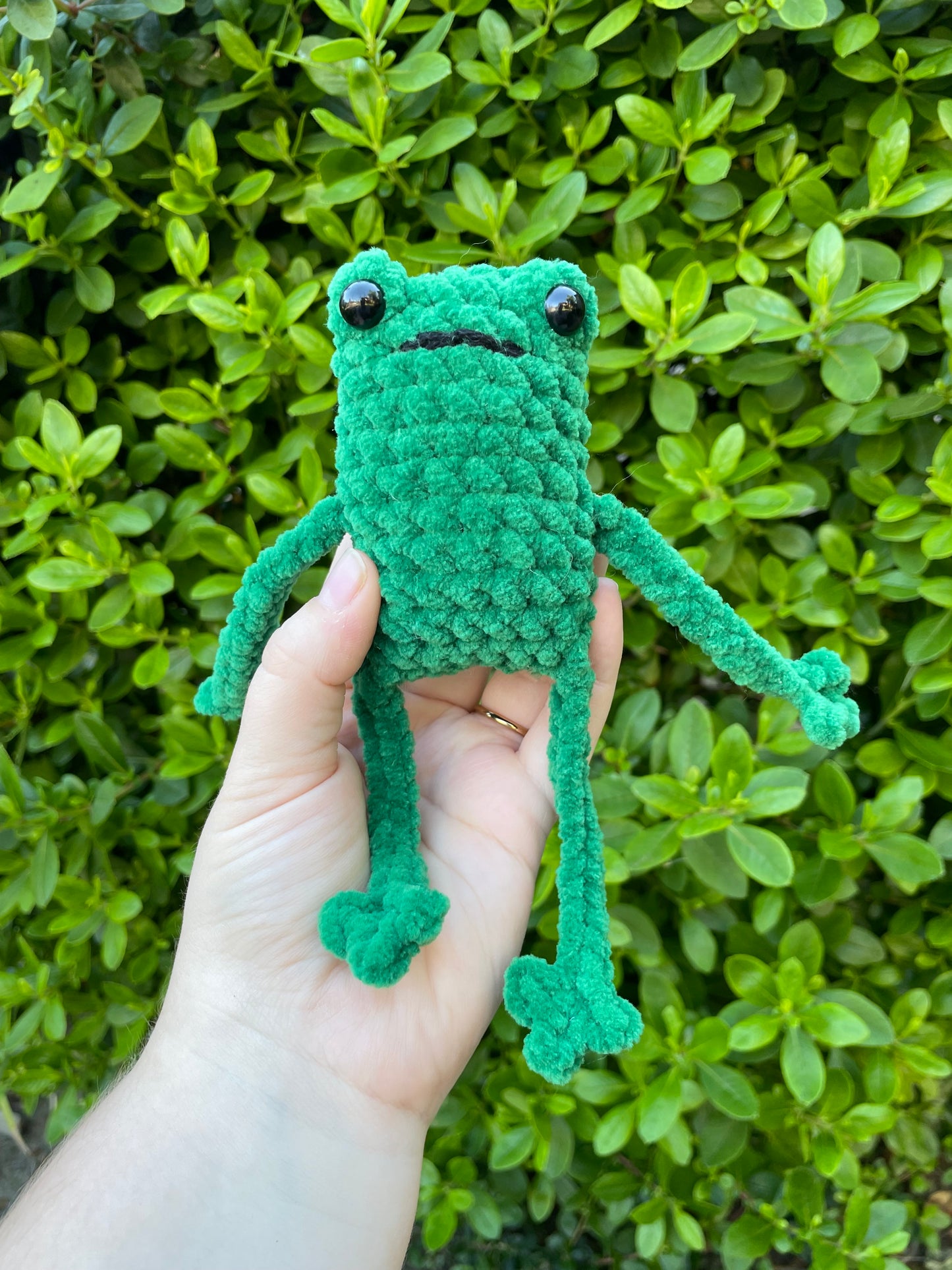 Leggy Frog