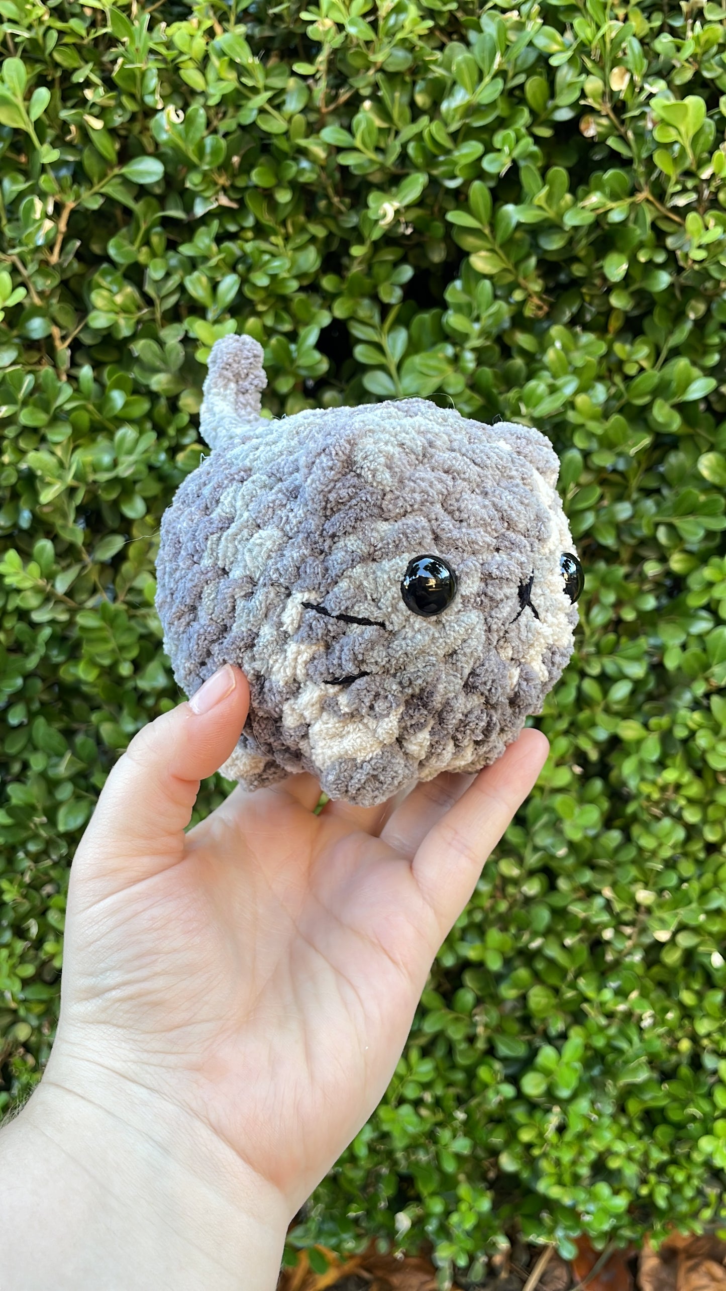 Mystery Mini Loaf Cat - Neutral