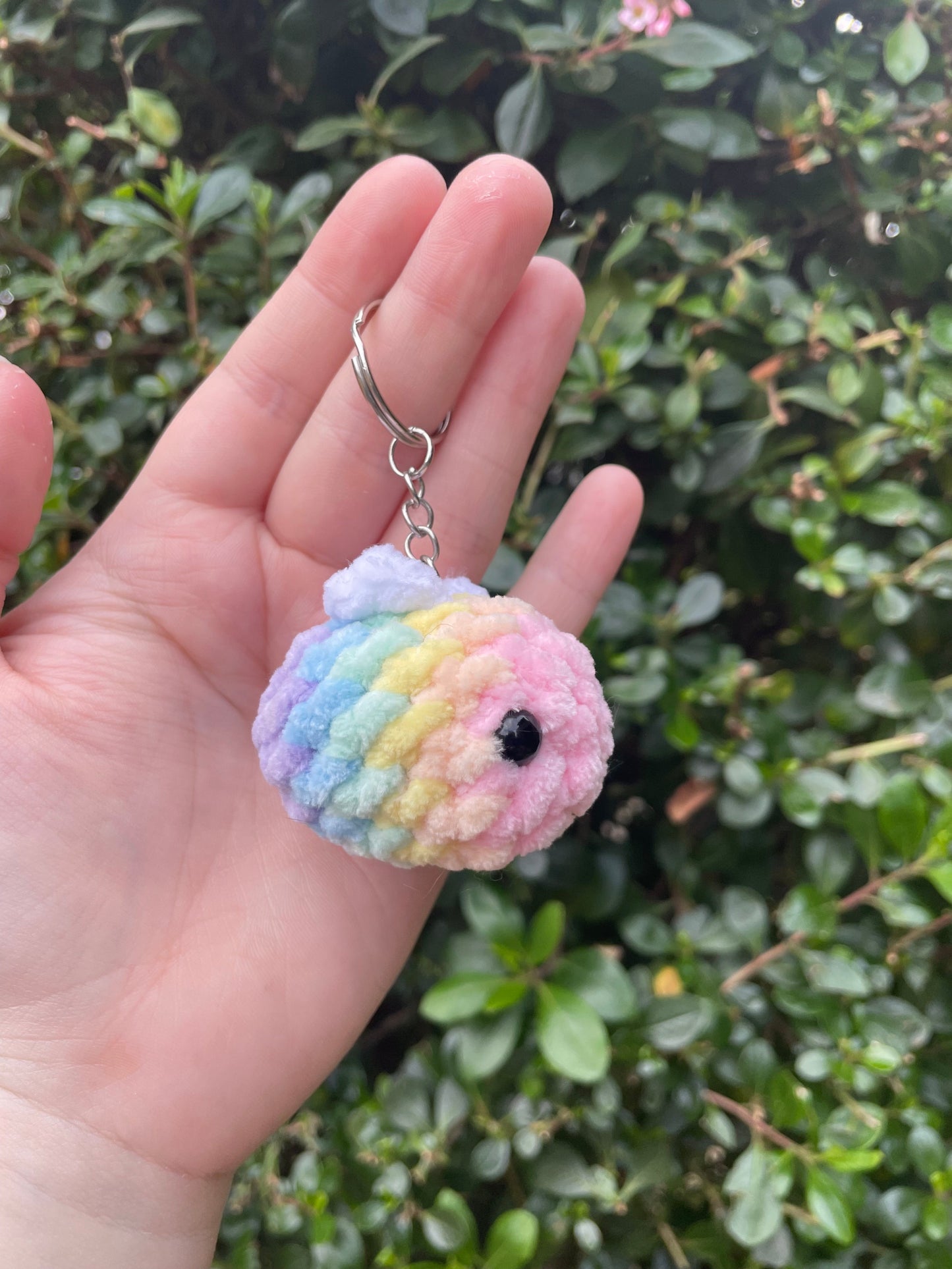 Rainbow Beechain