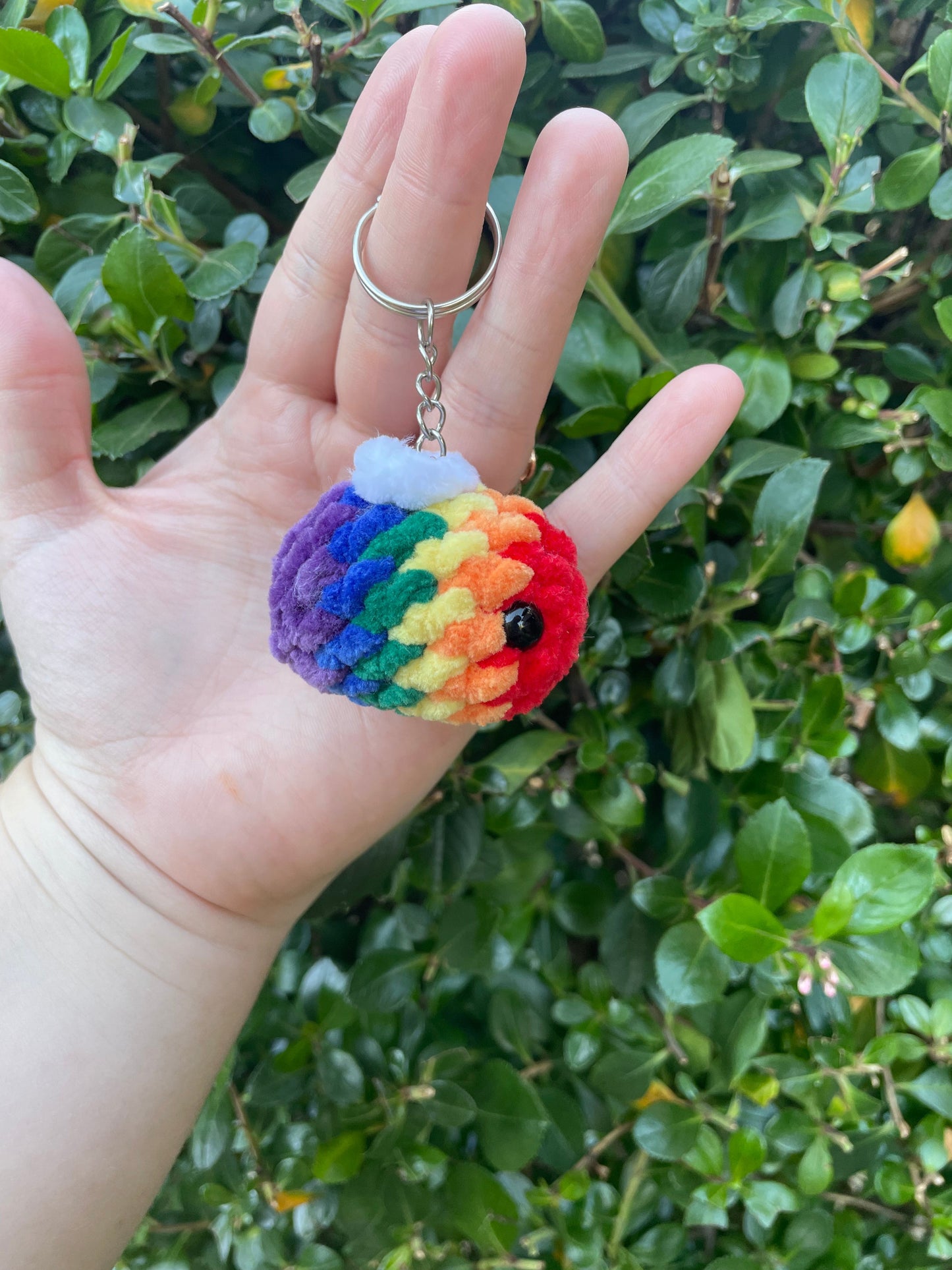 Rainbow Beechain