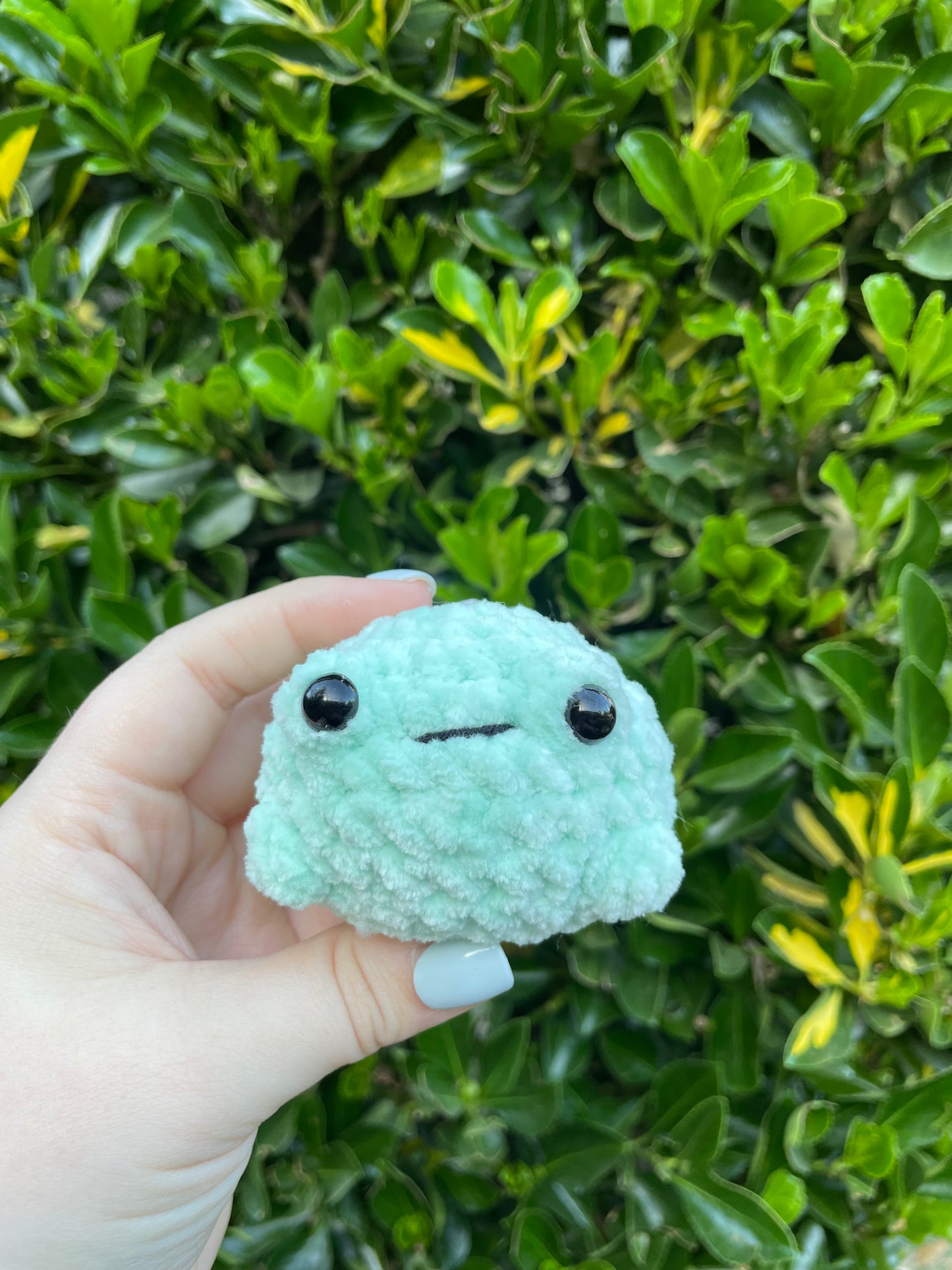 Froggee